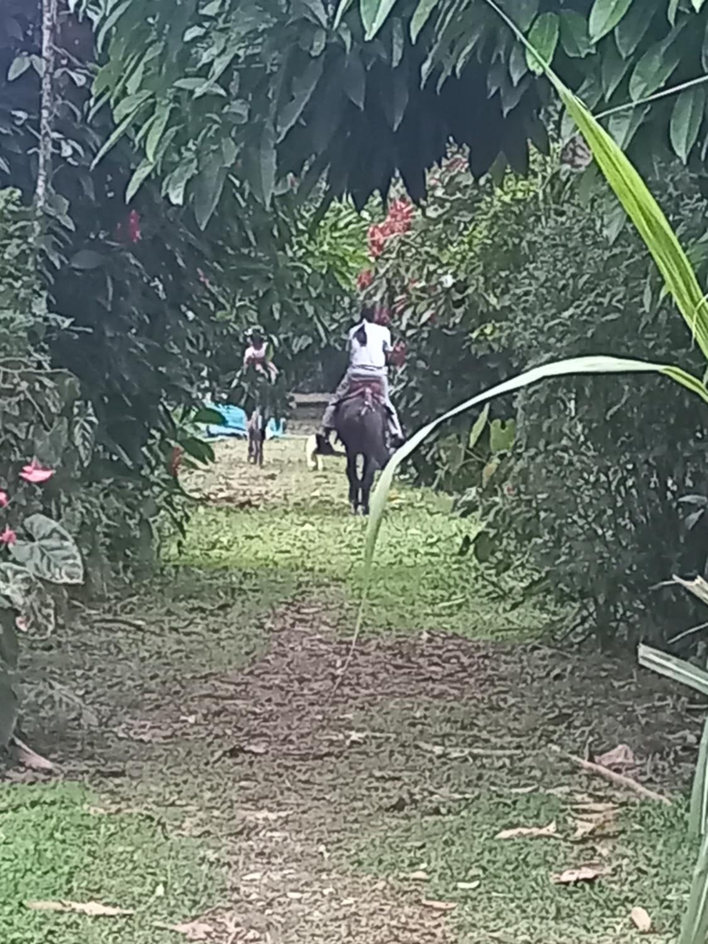 Finca La Esperanza