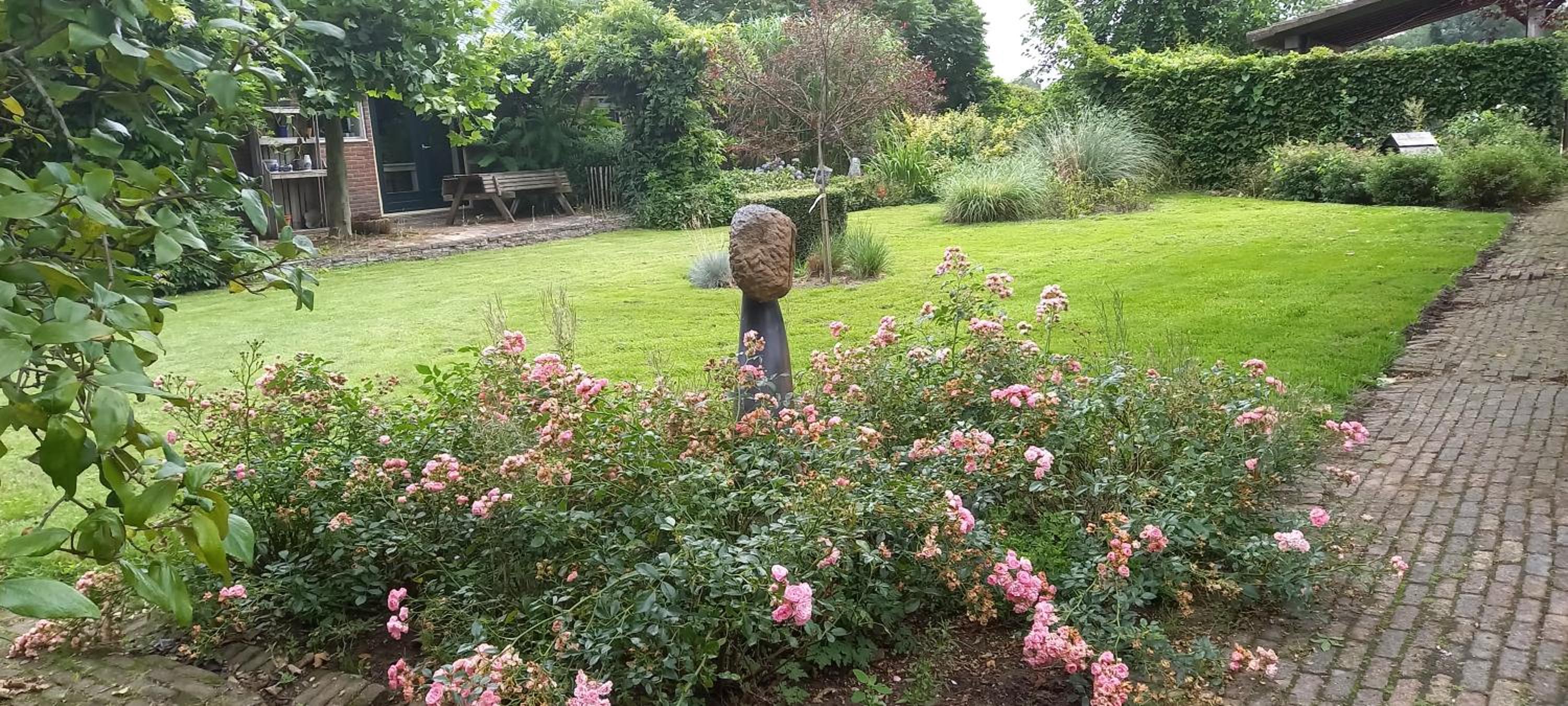 Photo 23
