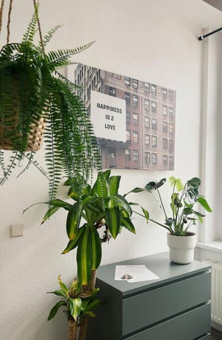 Pretty Home City Jungle