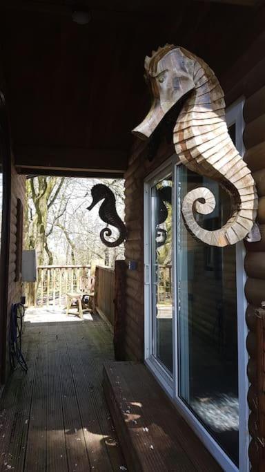 Woodpecker Lodge