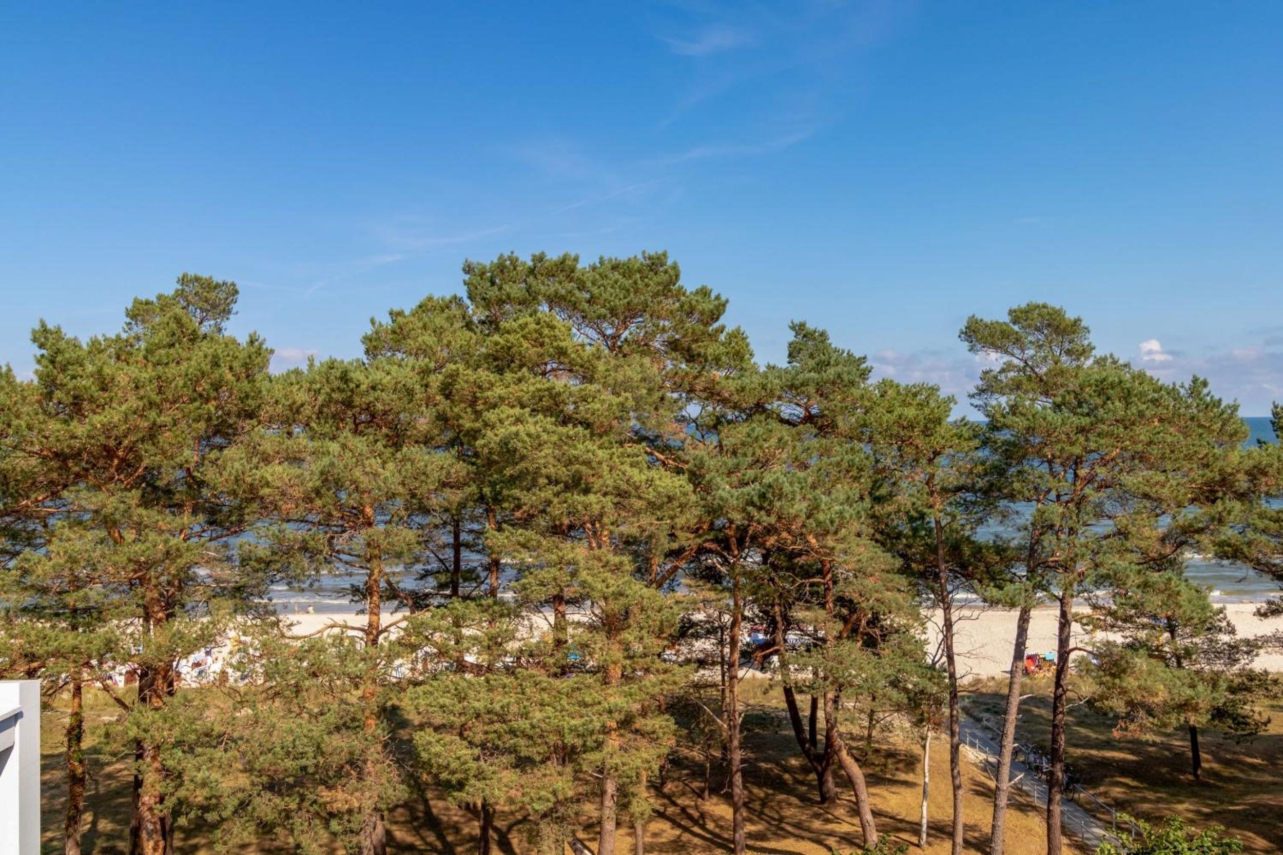 Villa Strandidyll Apartment 15, Meerblick, inkl Strandkorb