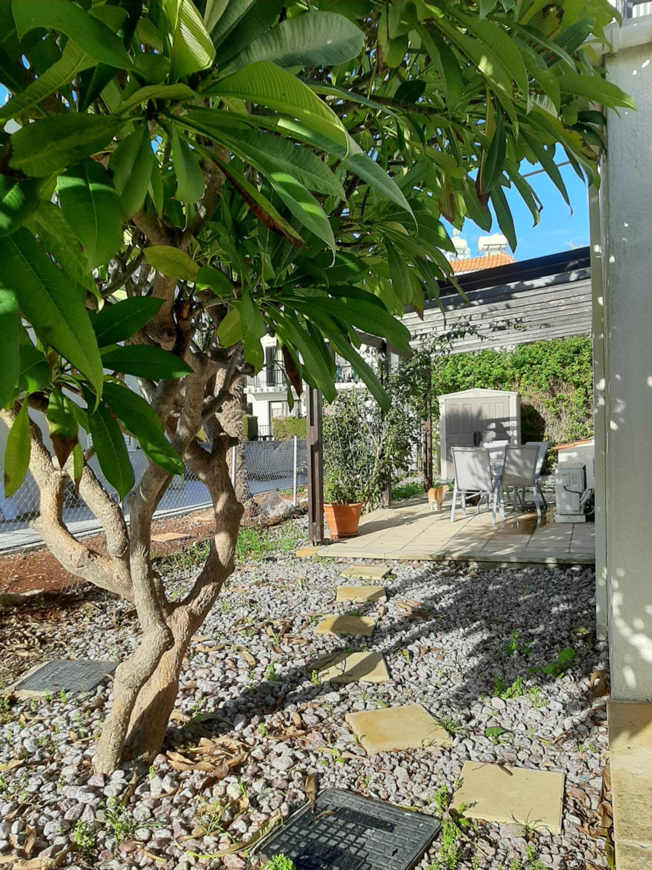 H&O Royal Townhouse in Center Paphos