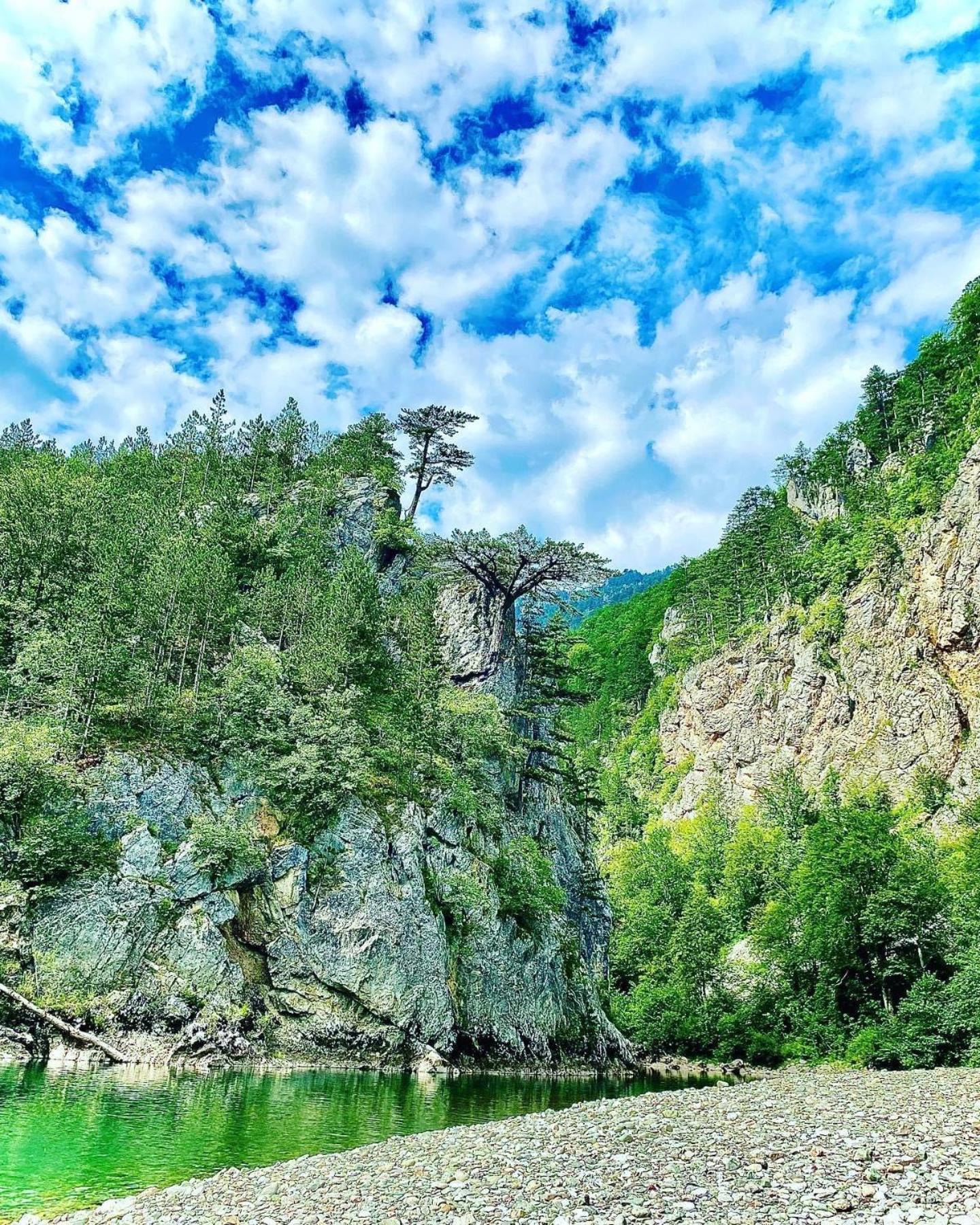 Mountain Mirage photo 5