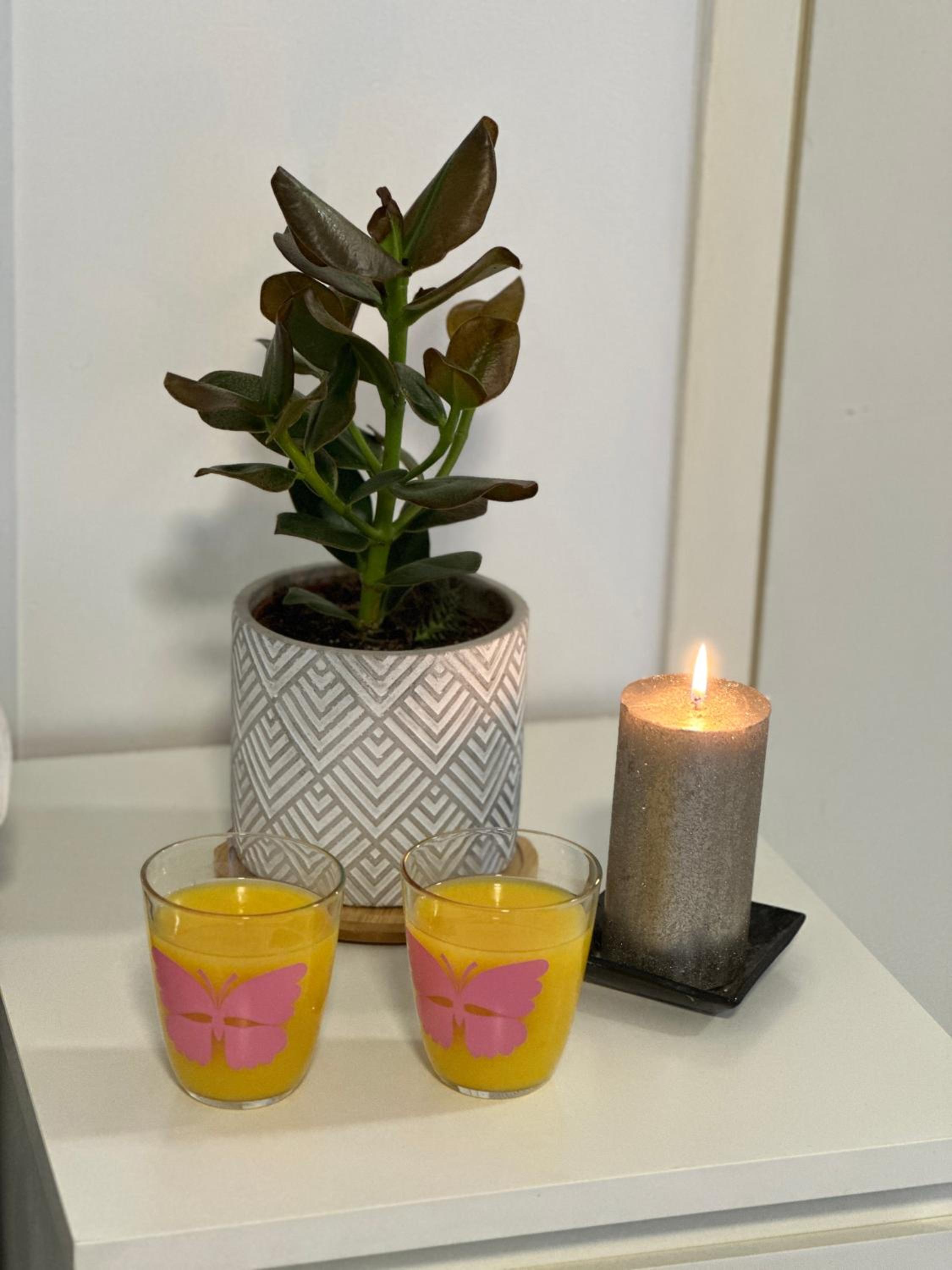 Chic and Relaxing Studio