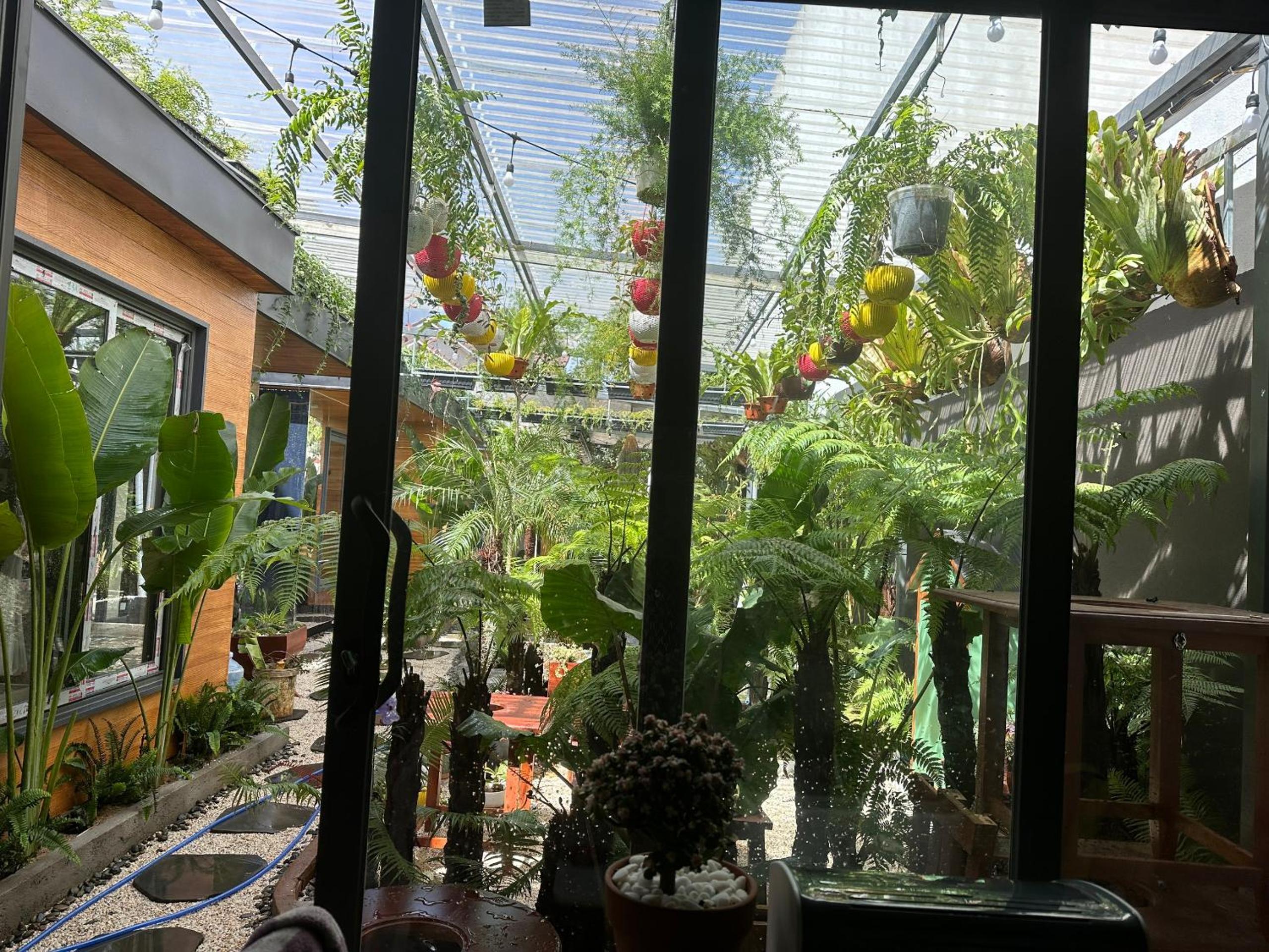 Kim Đồng homestay view 5