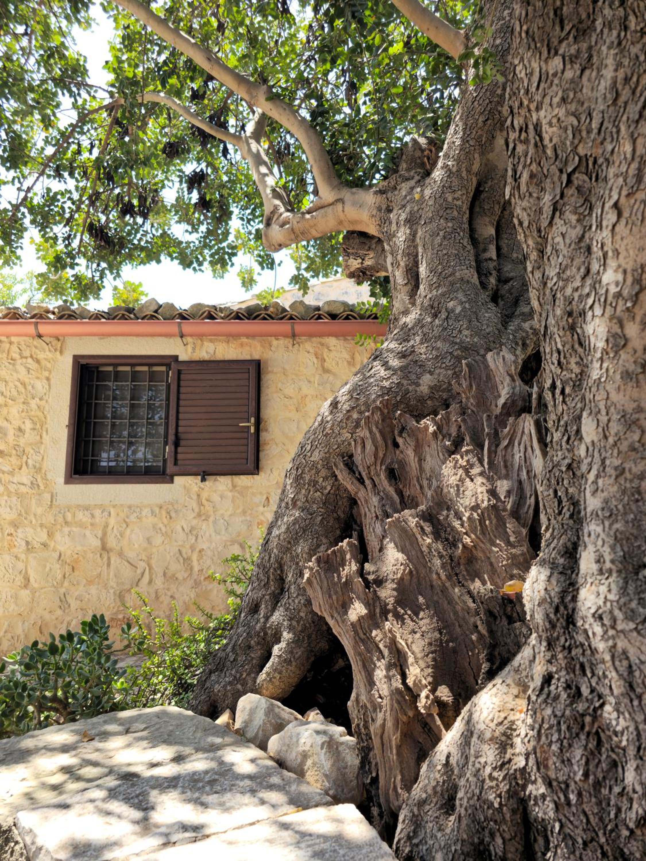 Villa Maros view 3