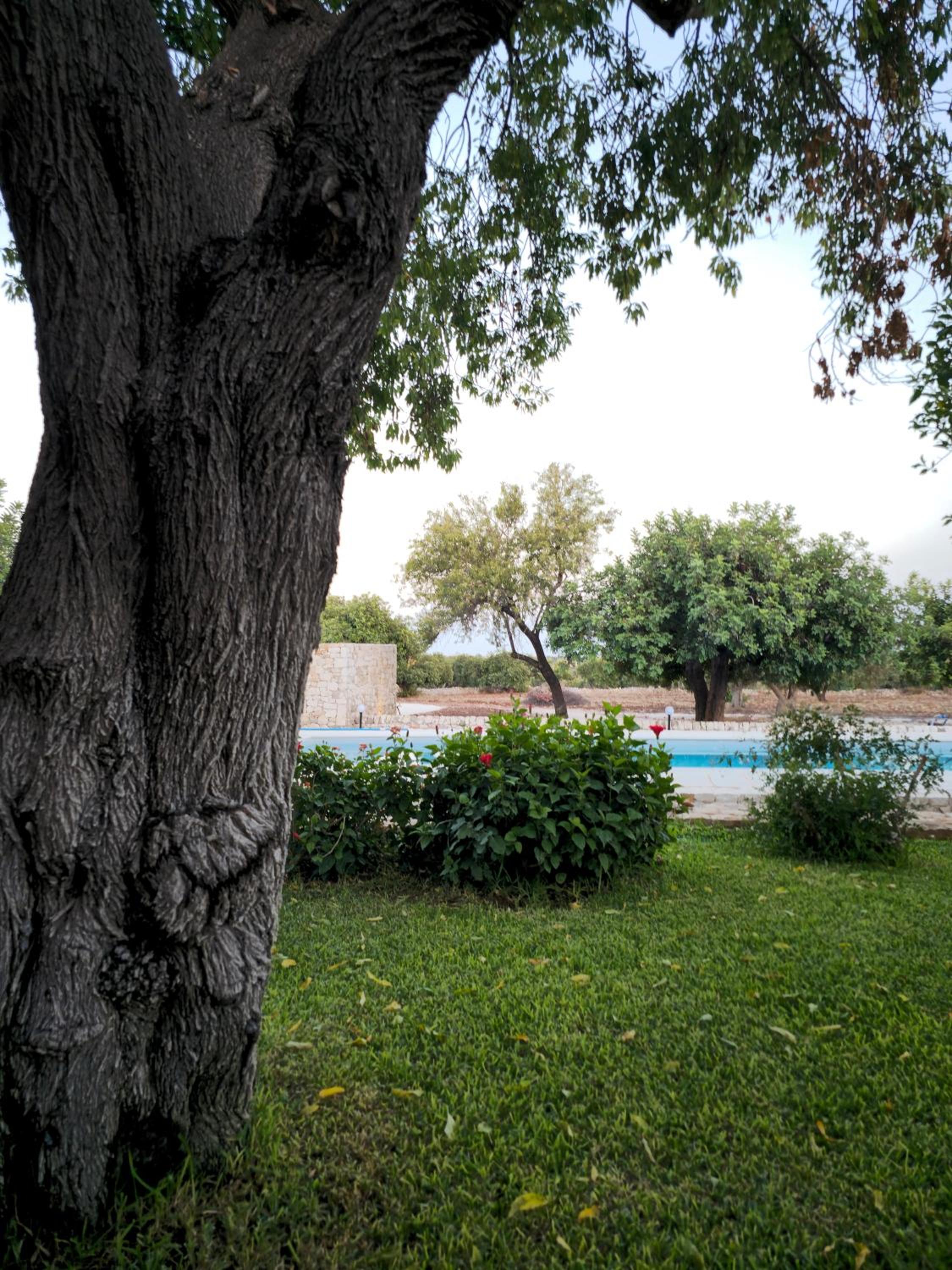 Villa Maros view 4