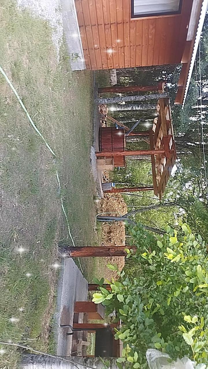 Cabañas Villarrica