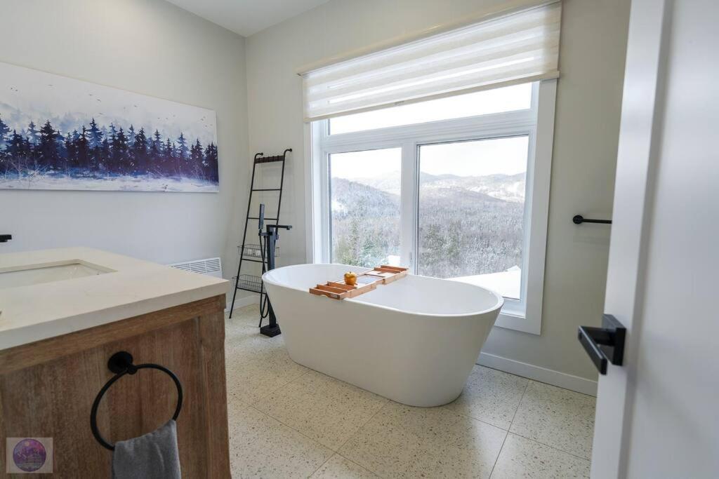 Chalet le Sherpa -SPA & Billard et accès au lac
