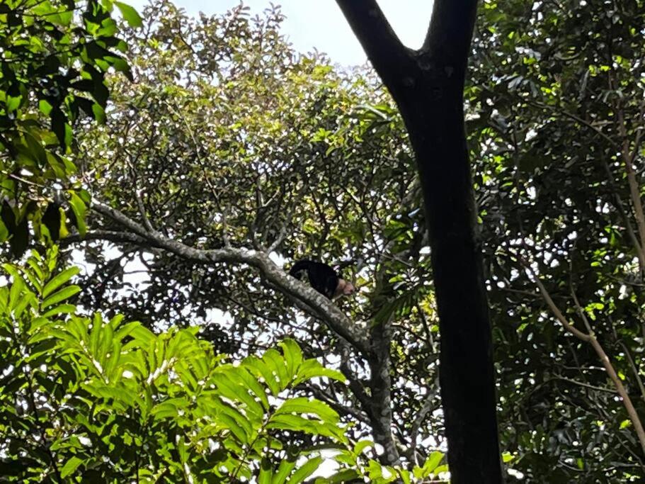 Casa Colibrí