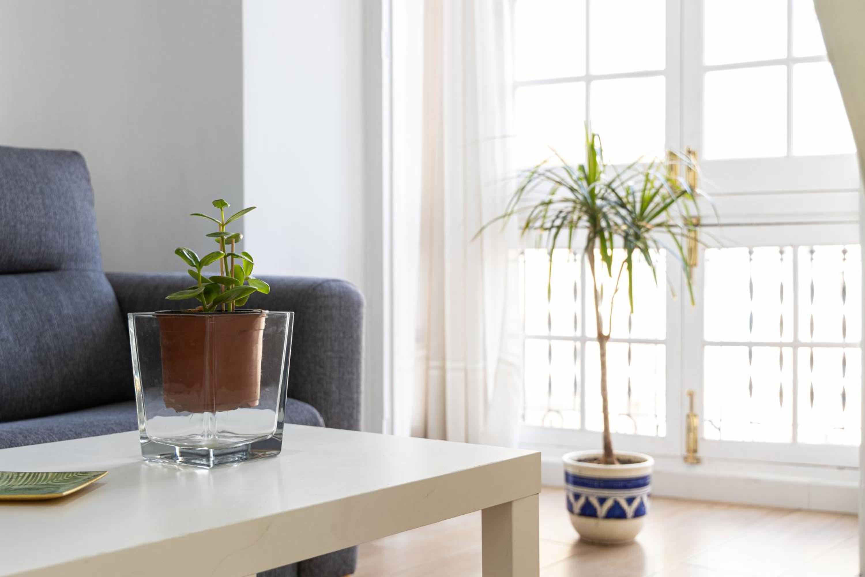 Apartamento Jacaranda