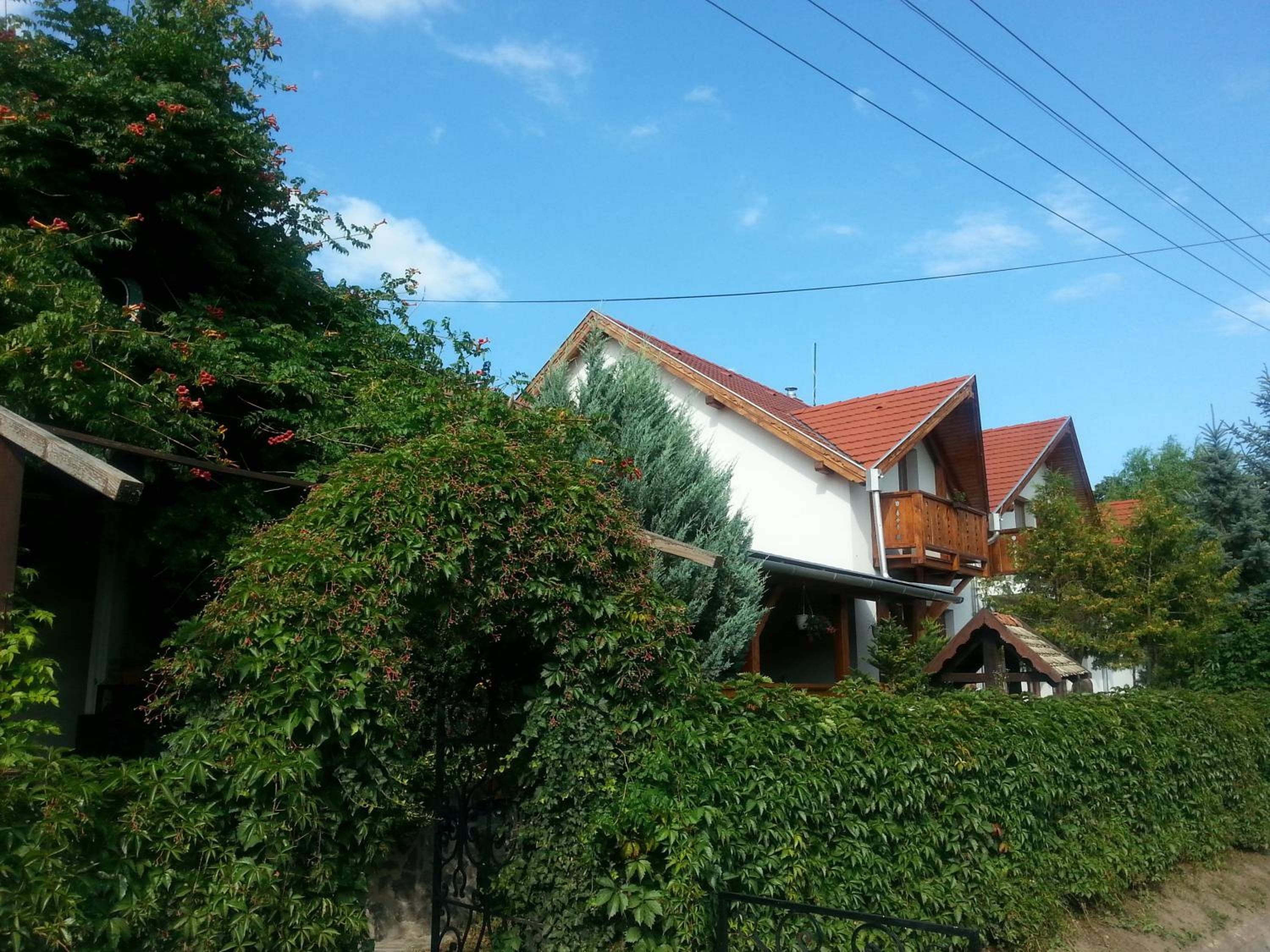 Photo 29