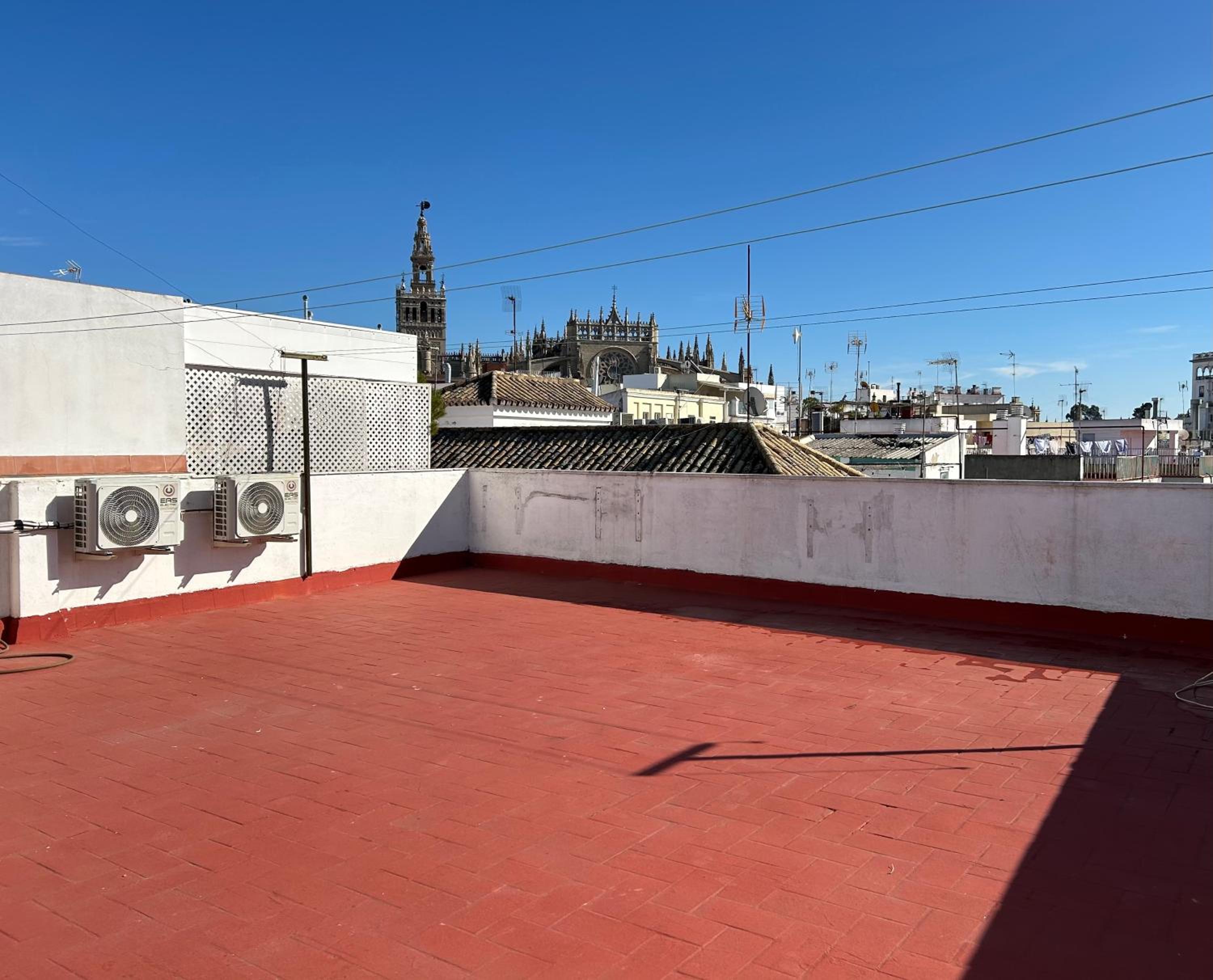 Mara Arenal Sevilla