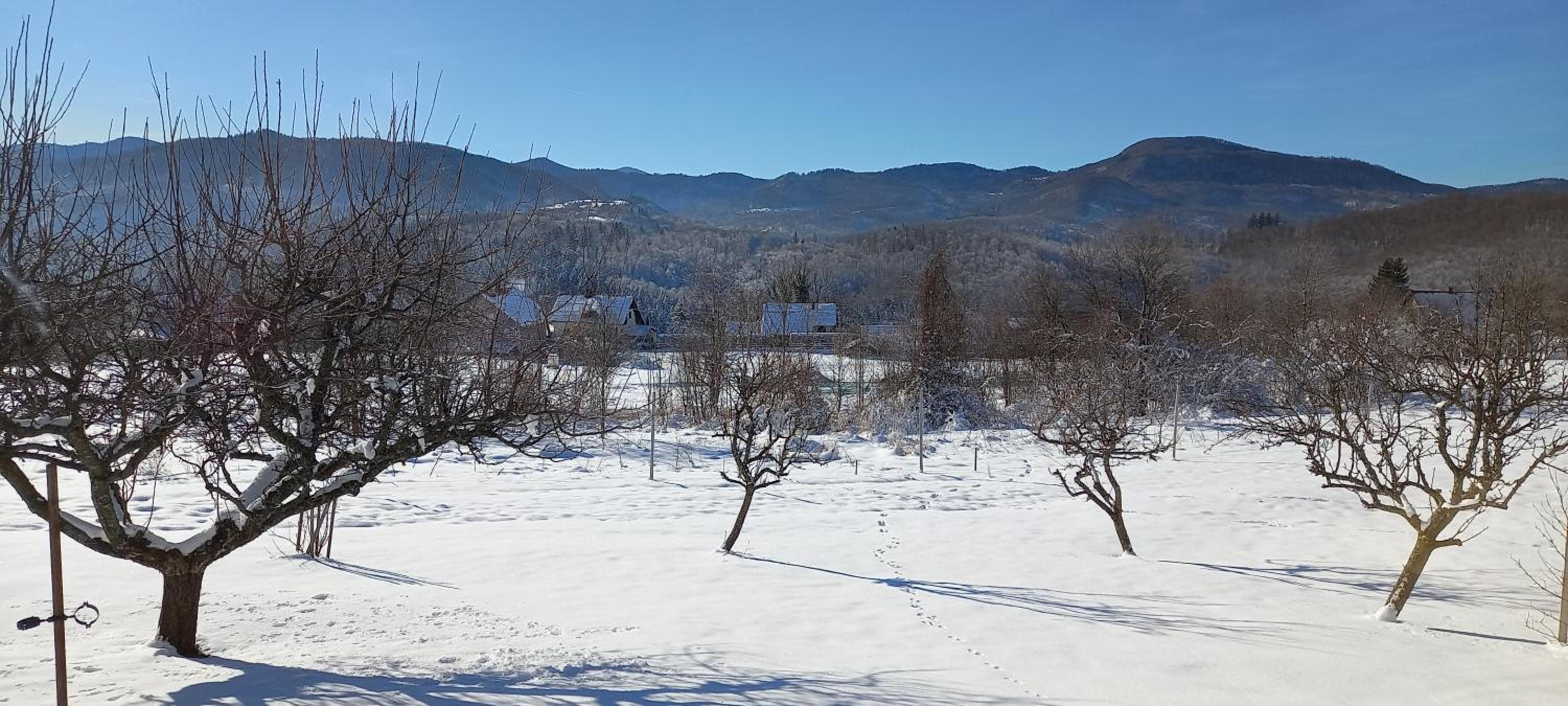 Apartment ROKO with sauna & view
