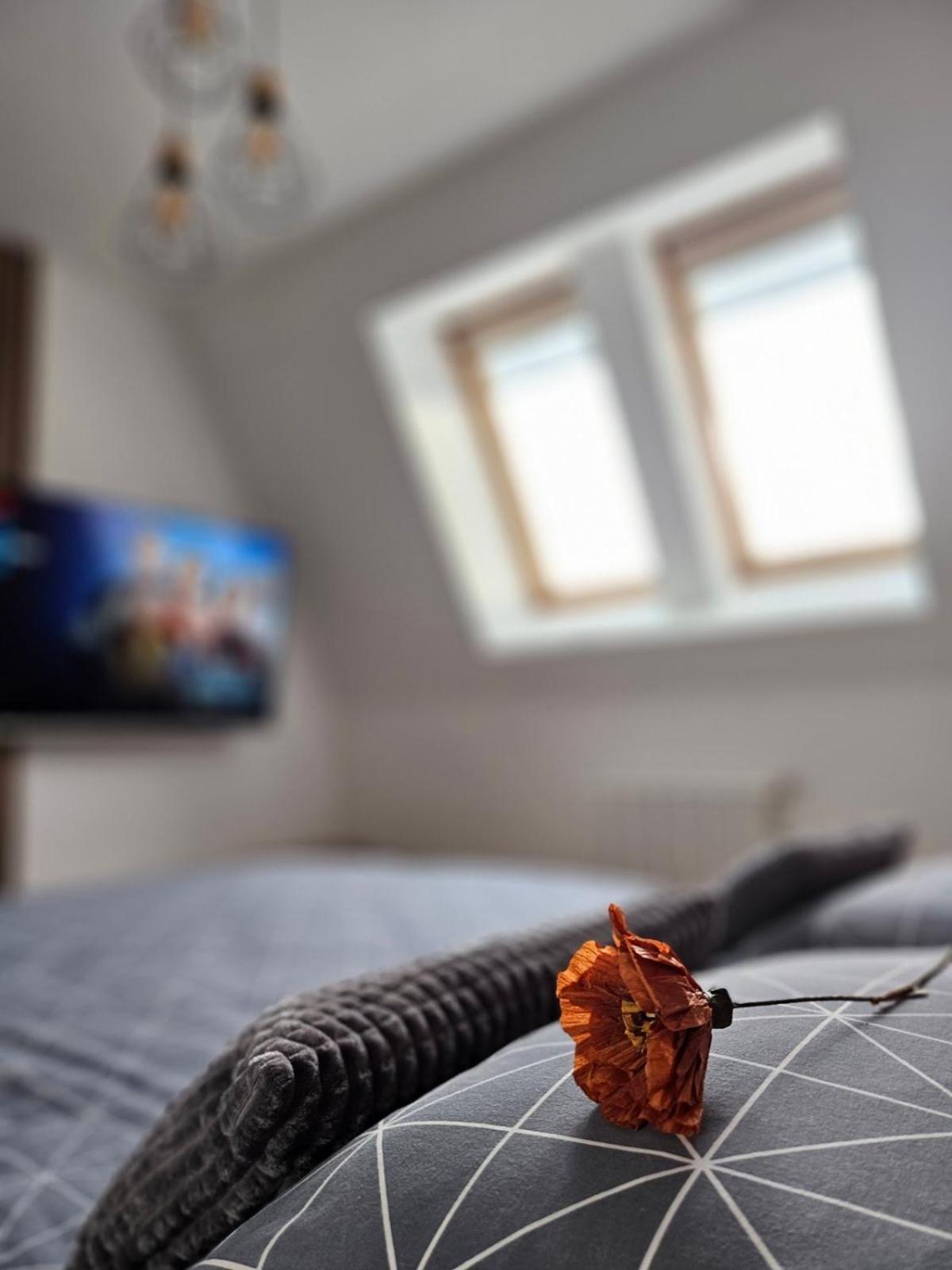 Apartman MAA