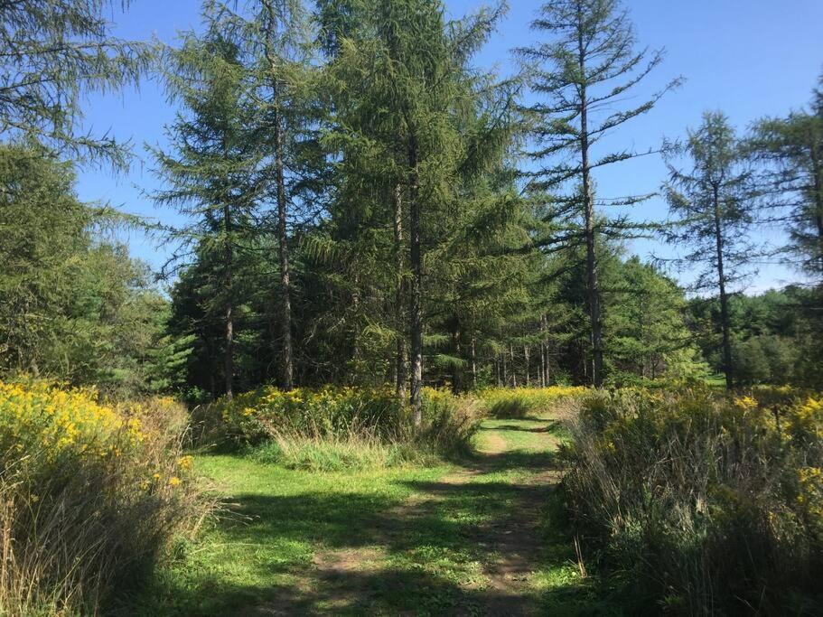 Brand new, private oasis on 18 acres in Erin