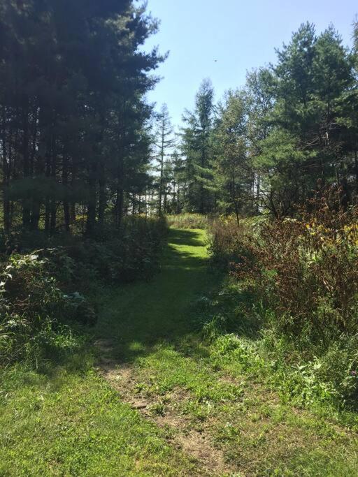 Brand new, private oasis on 18 acres in Erin