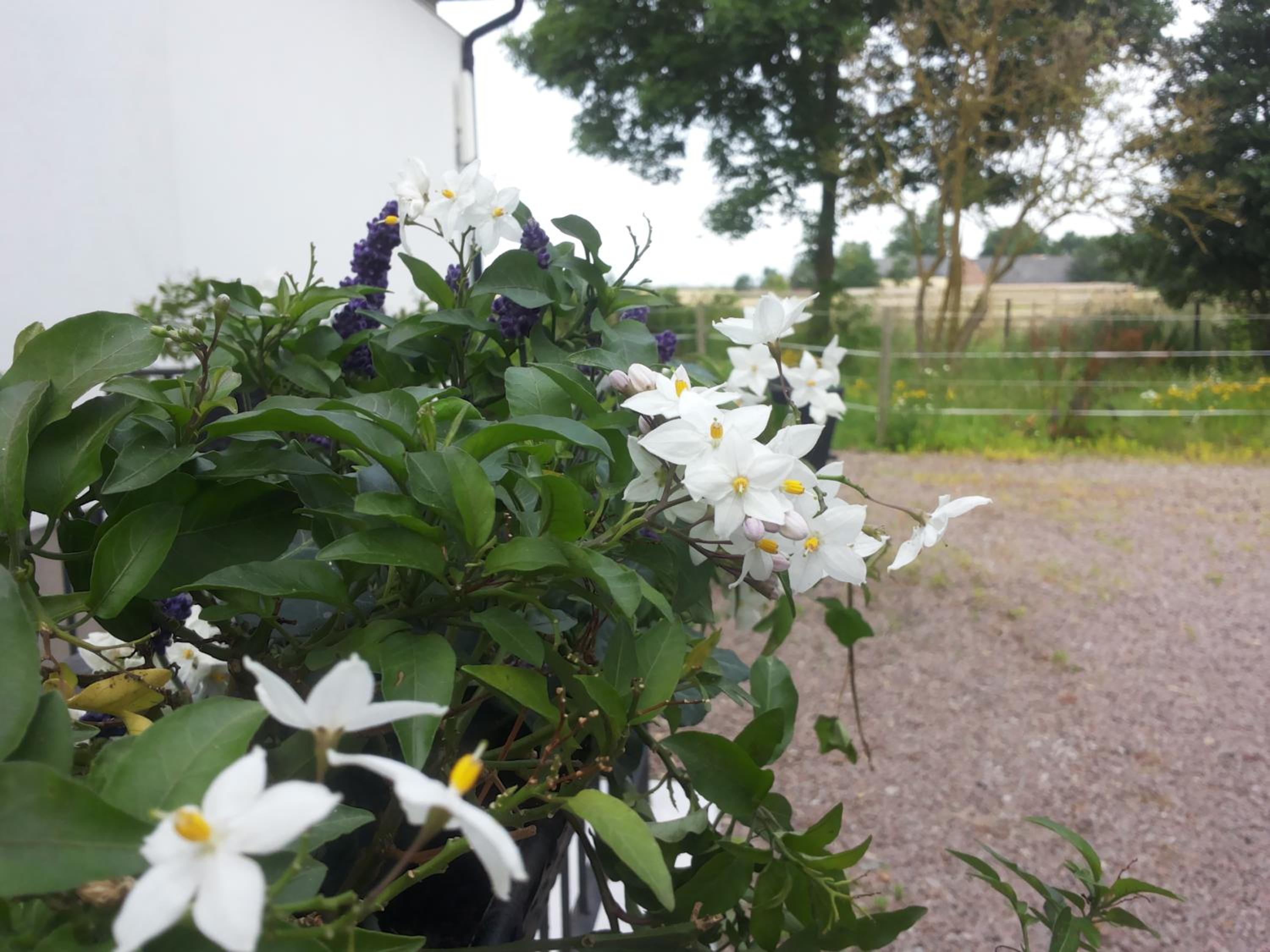 Photo 42