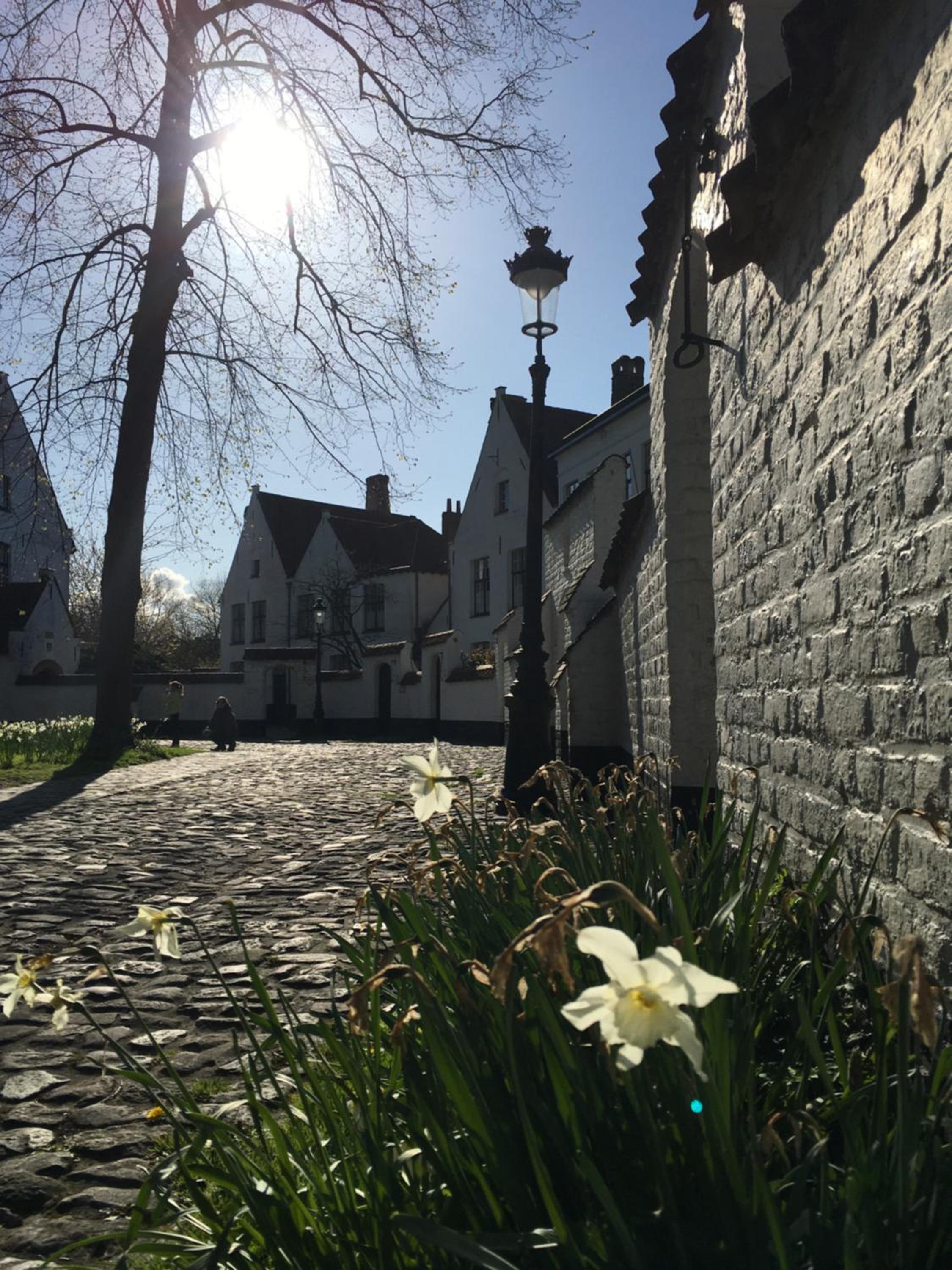 B&B Royal Swans - Adults-Only Boutique Stay in Bruges