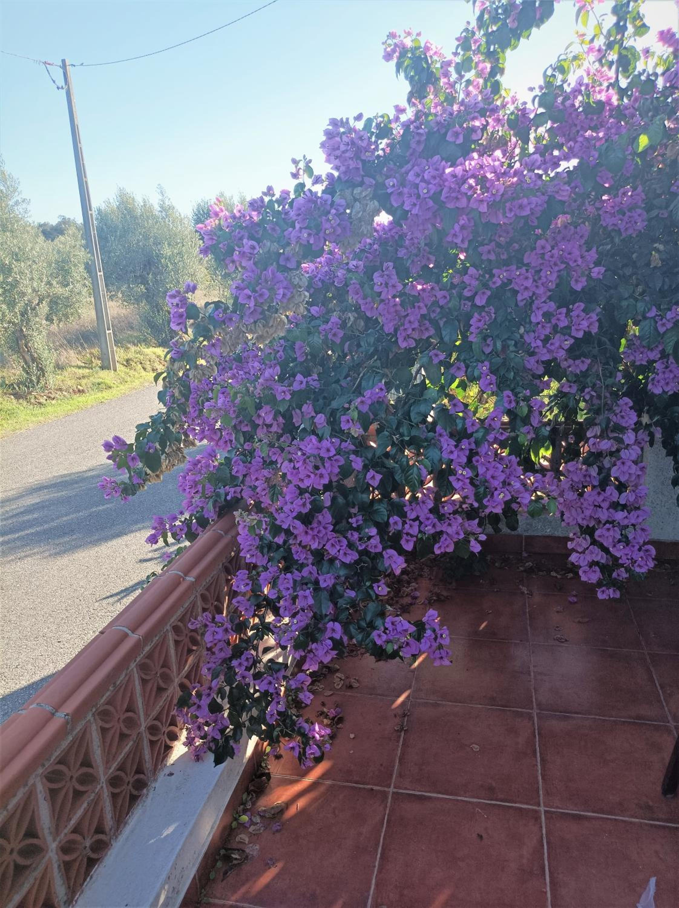 Casa da Celeste-AL view 3