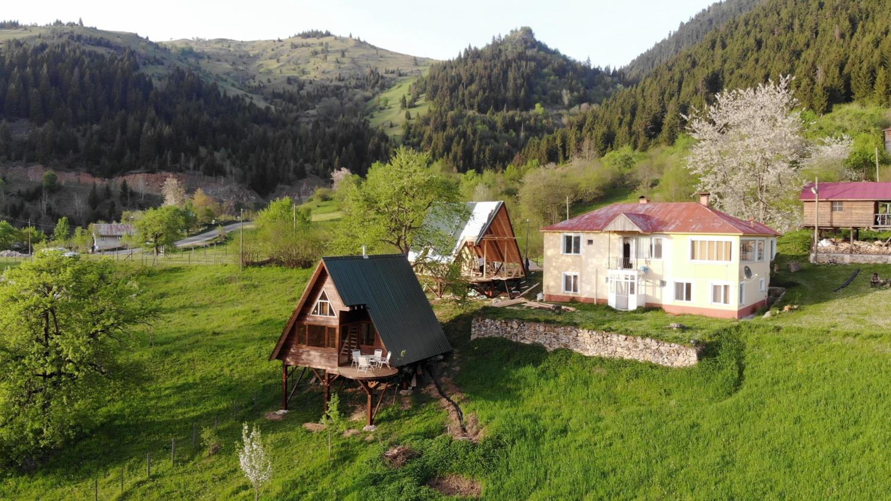 Süllü Dağ Evi