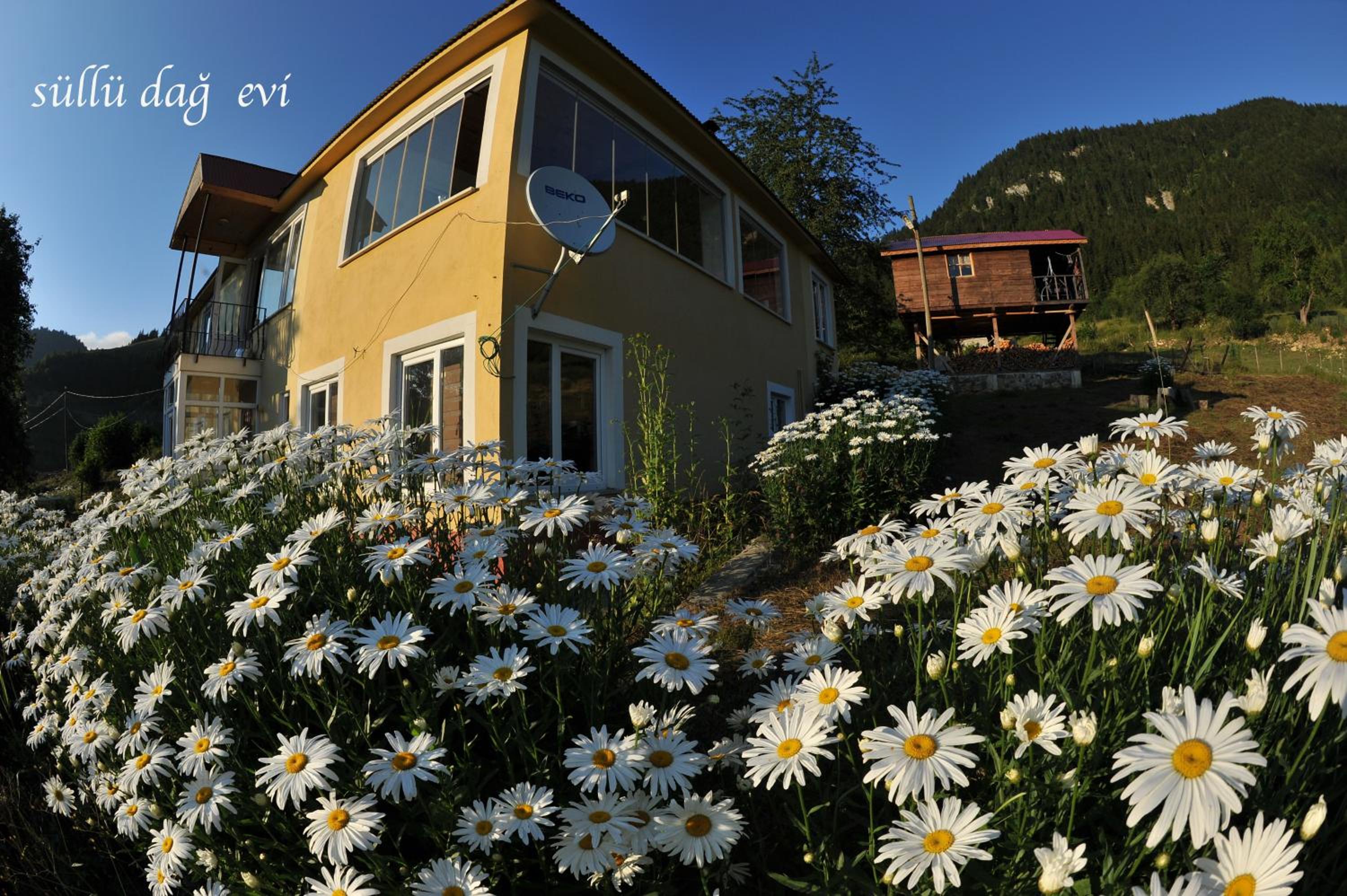 Süllü Dağ Evi