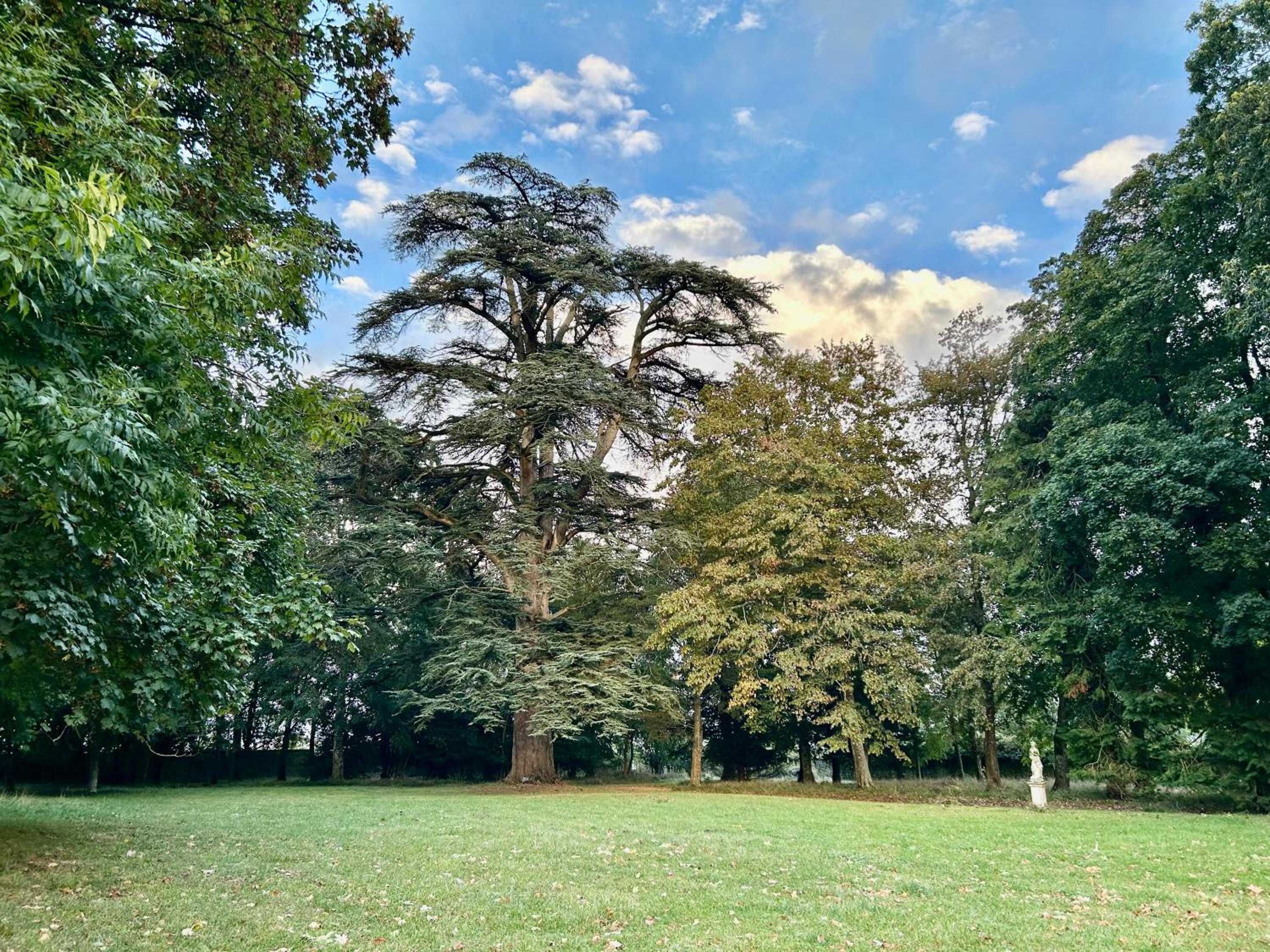 Château des Feugerets view 2