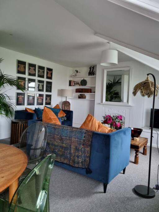 Spacious beachfront apartment reviews in pictures
