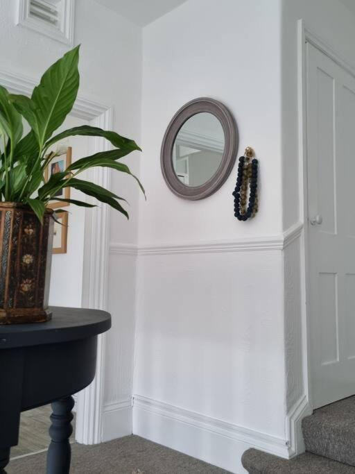 Spacious beachfront apartment reviews in pictures