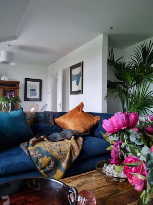 Spacious beachfront apartment reviews in pictures