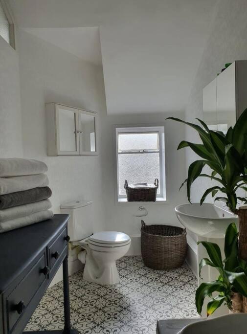 Spacious beachfront apartment reviews in pictures