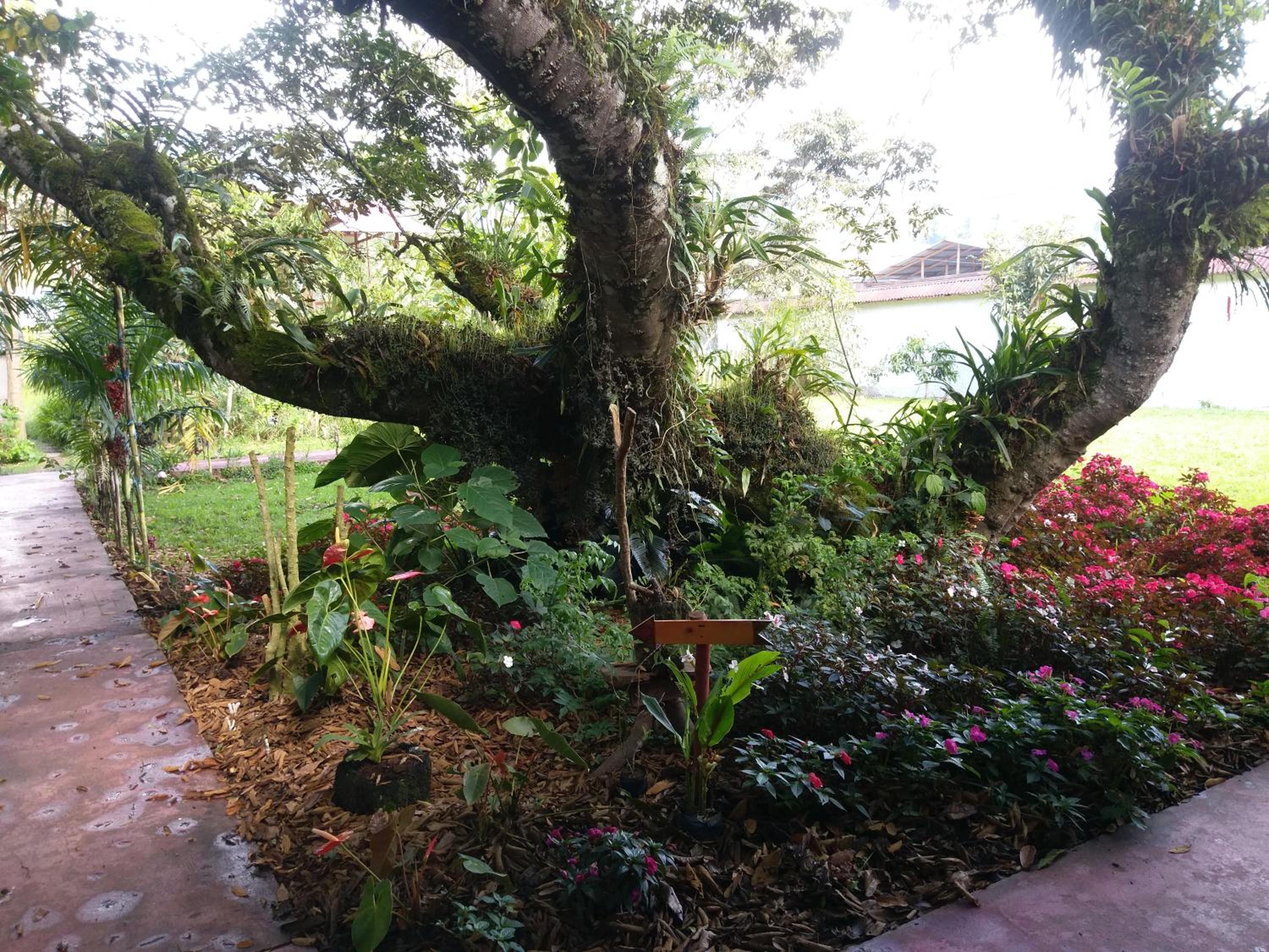 Refugio de Orquídeas