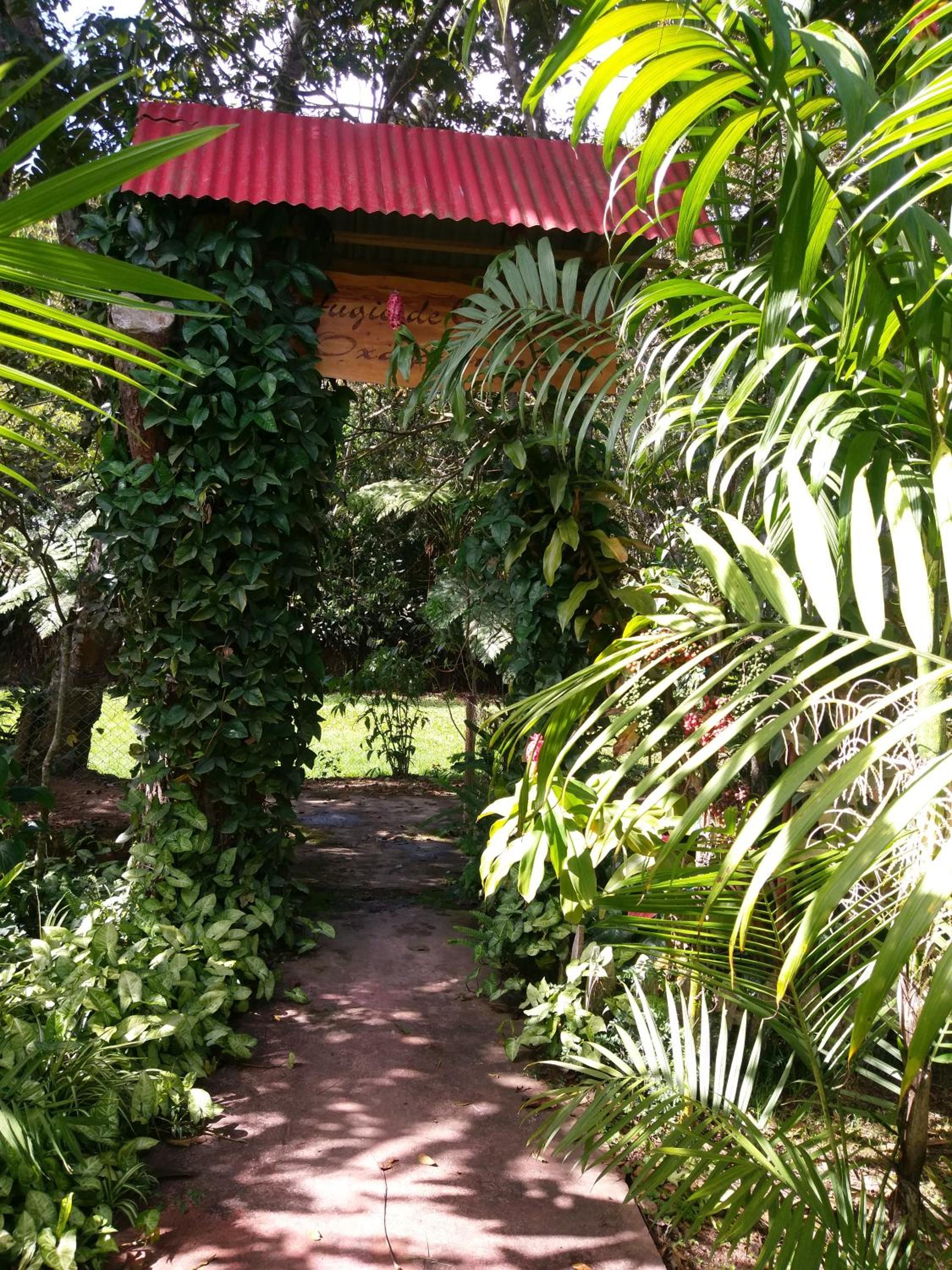 Refugio de Orquídeas