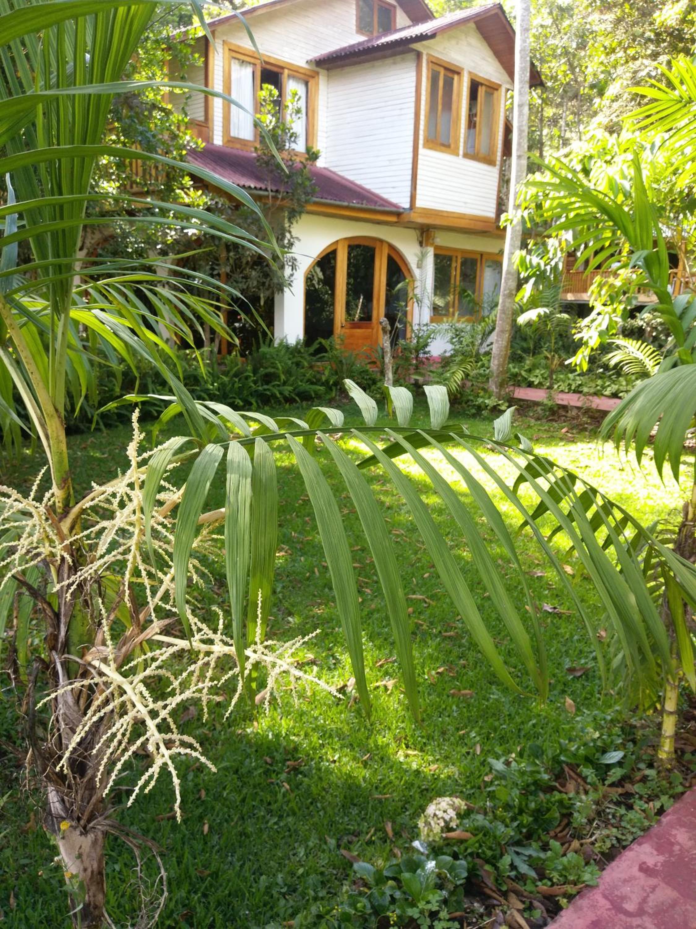 Refugio de Orquídeas