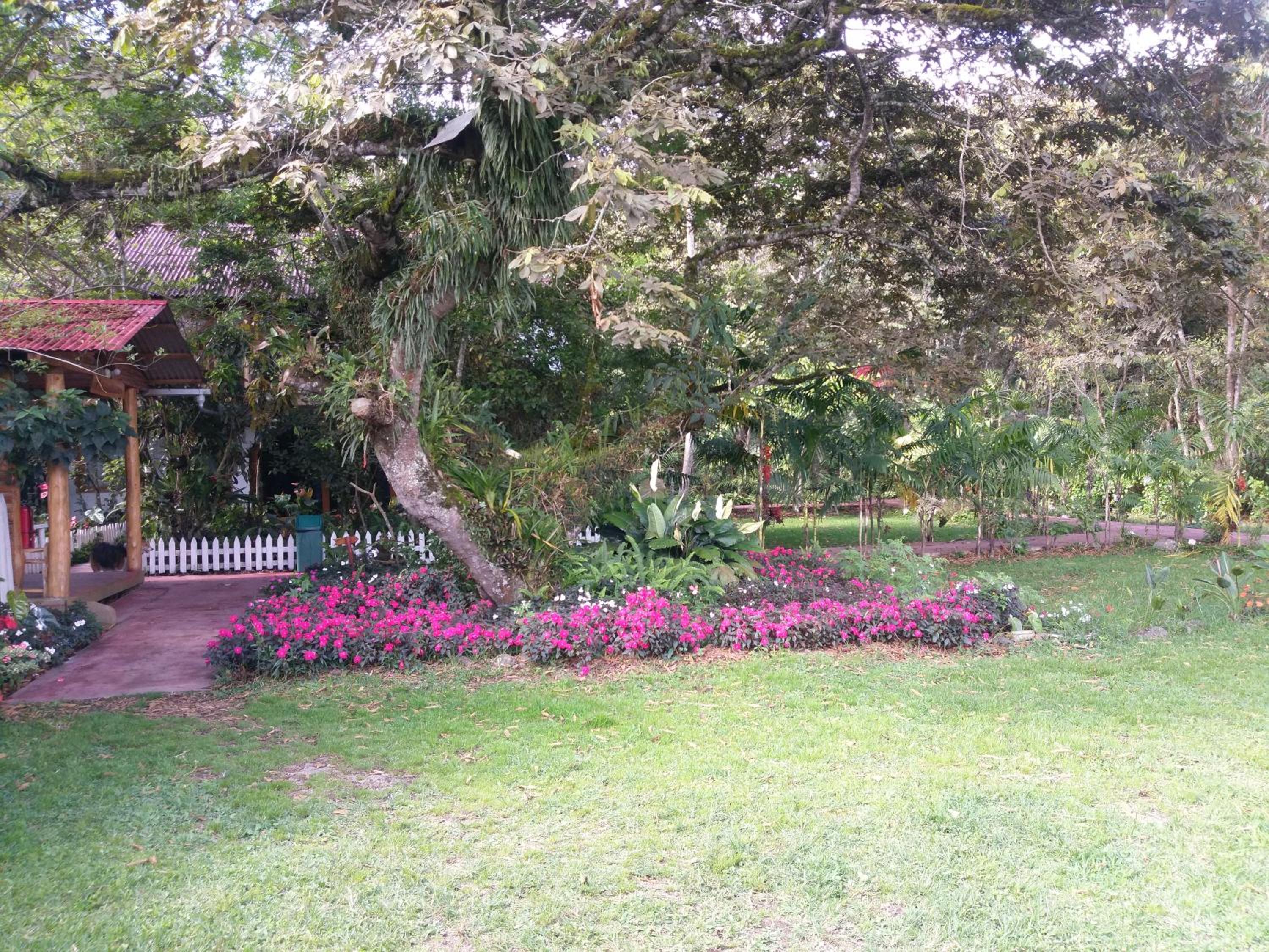 Refugio de Orquídeas