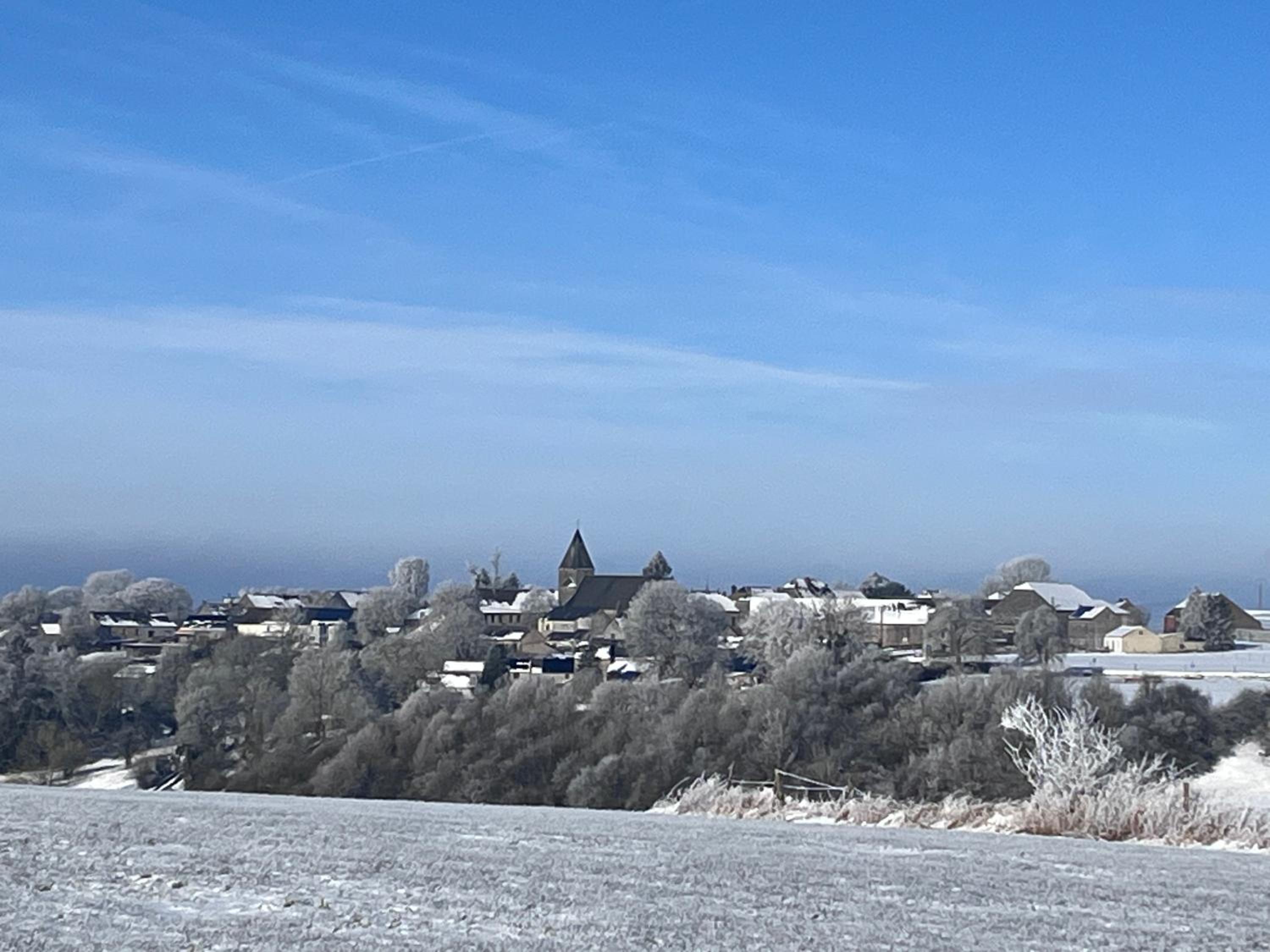L’Aragne