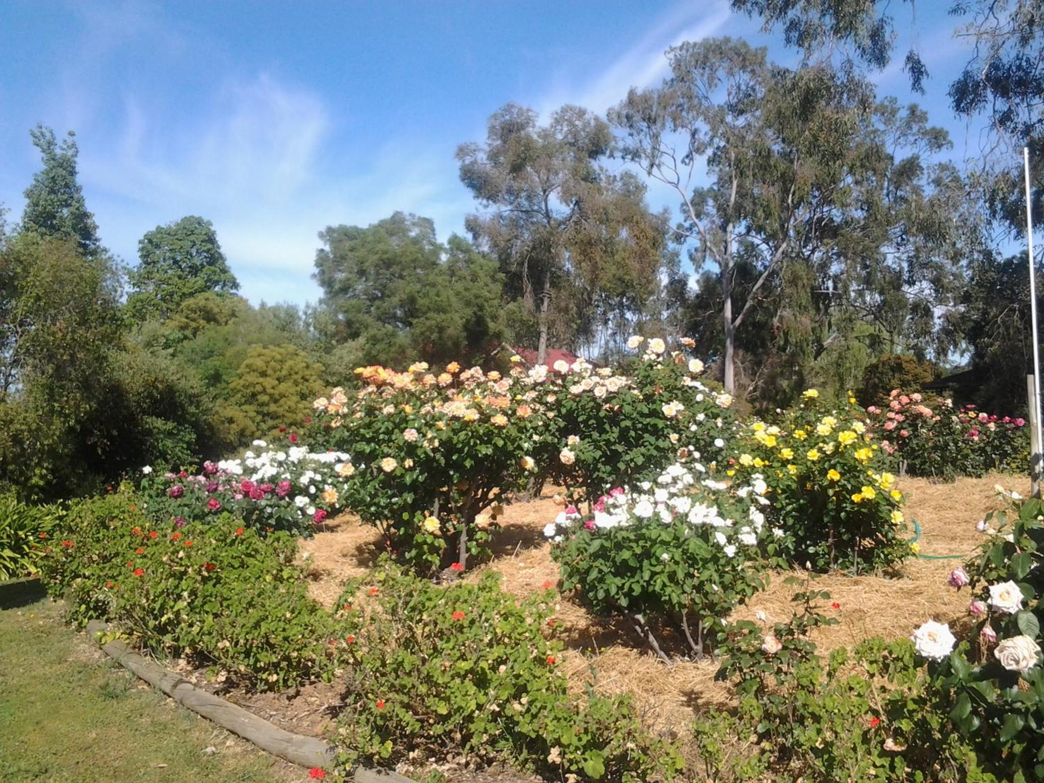 Greenacres Motel Corowa