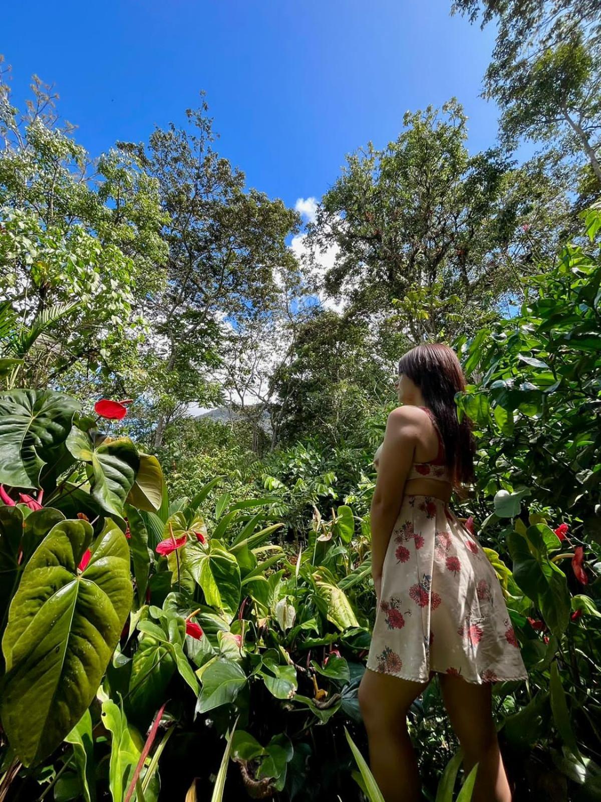 Refugio de Orquídeas