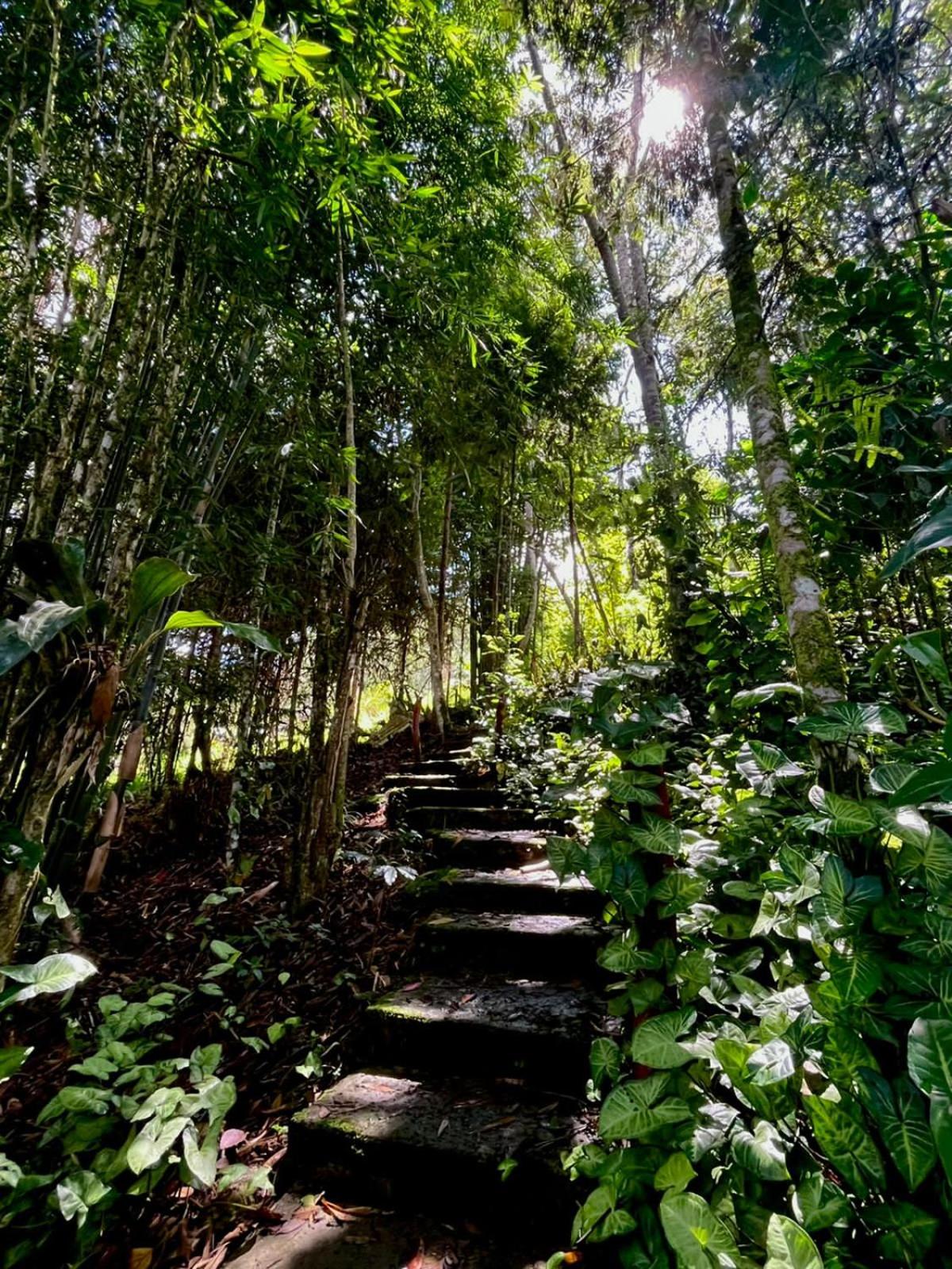 Refugio de Orquídeas