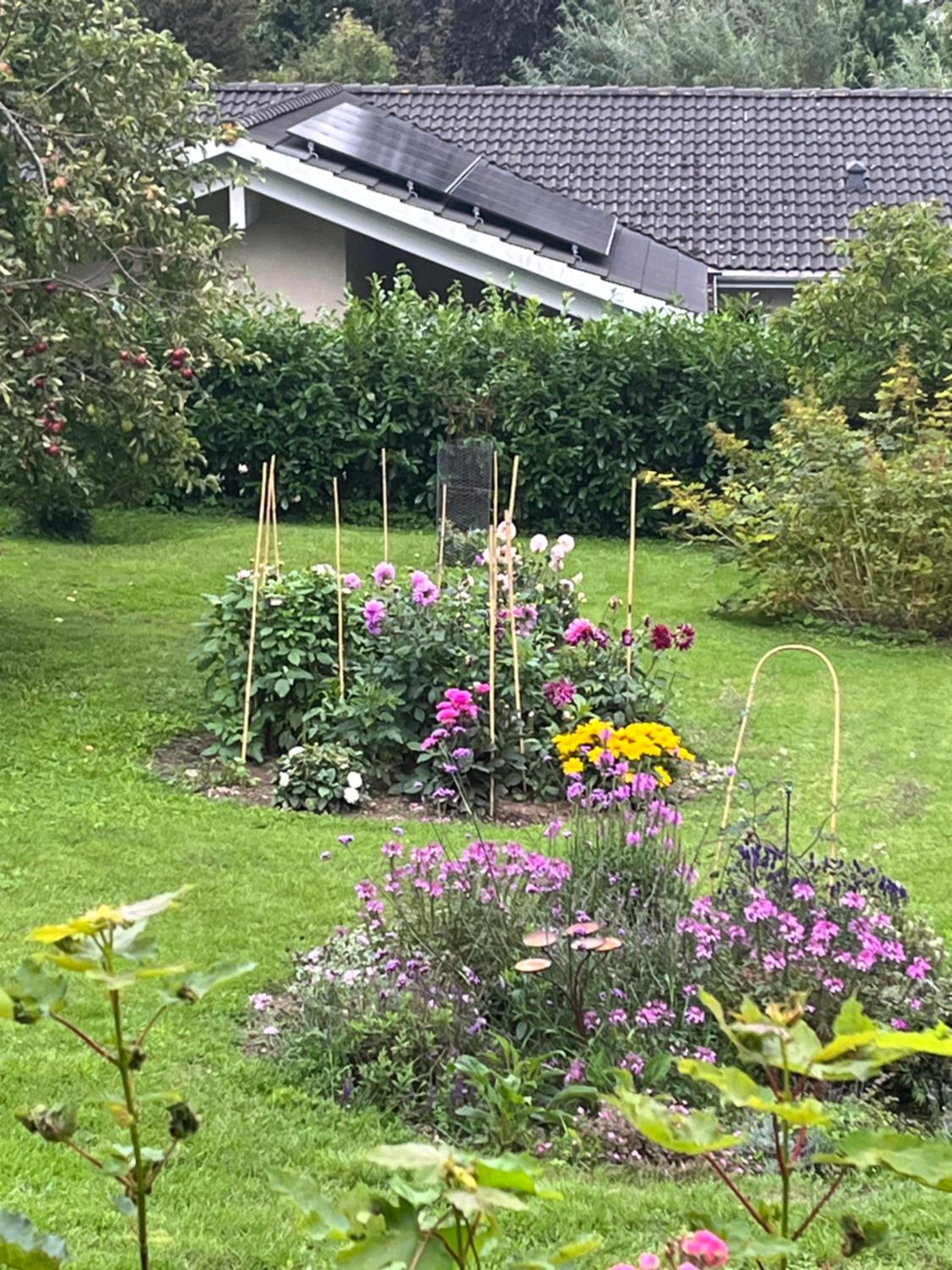 Dejligt Tinyhouse i Gilleleje