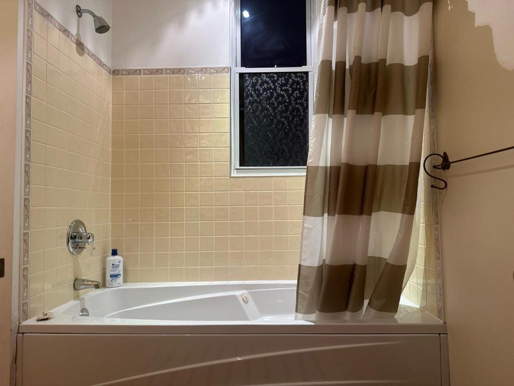 Montreal Sophistication & Style - Newly Renovated