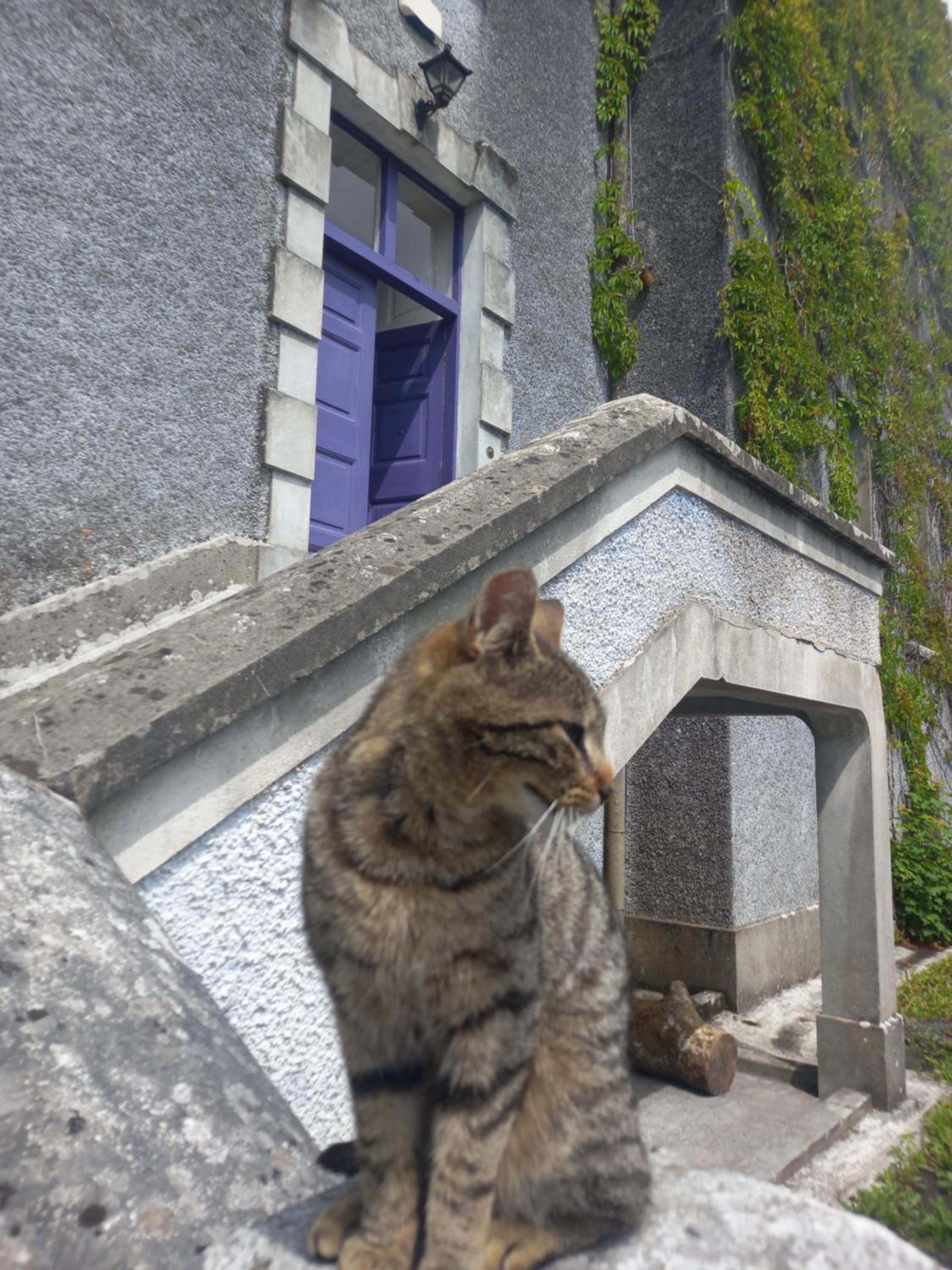 Galway Vacations - Cregg Castle - Property Image 29