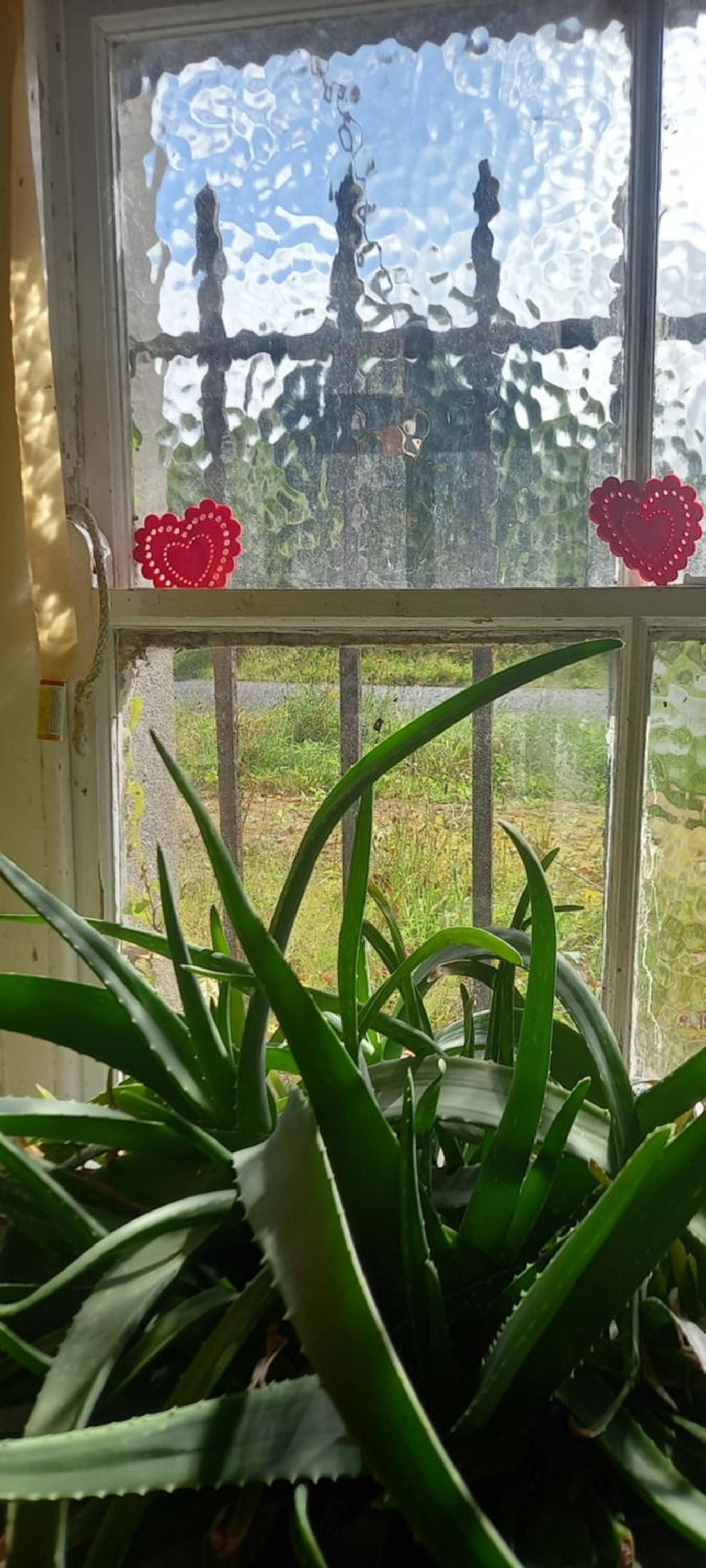 Galway Vacations - Cregg Castle - Property Image 15