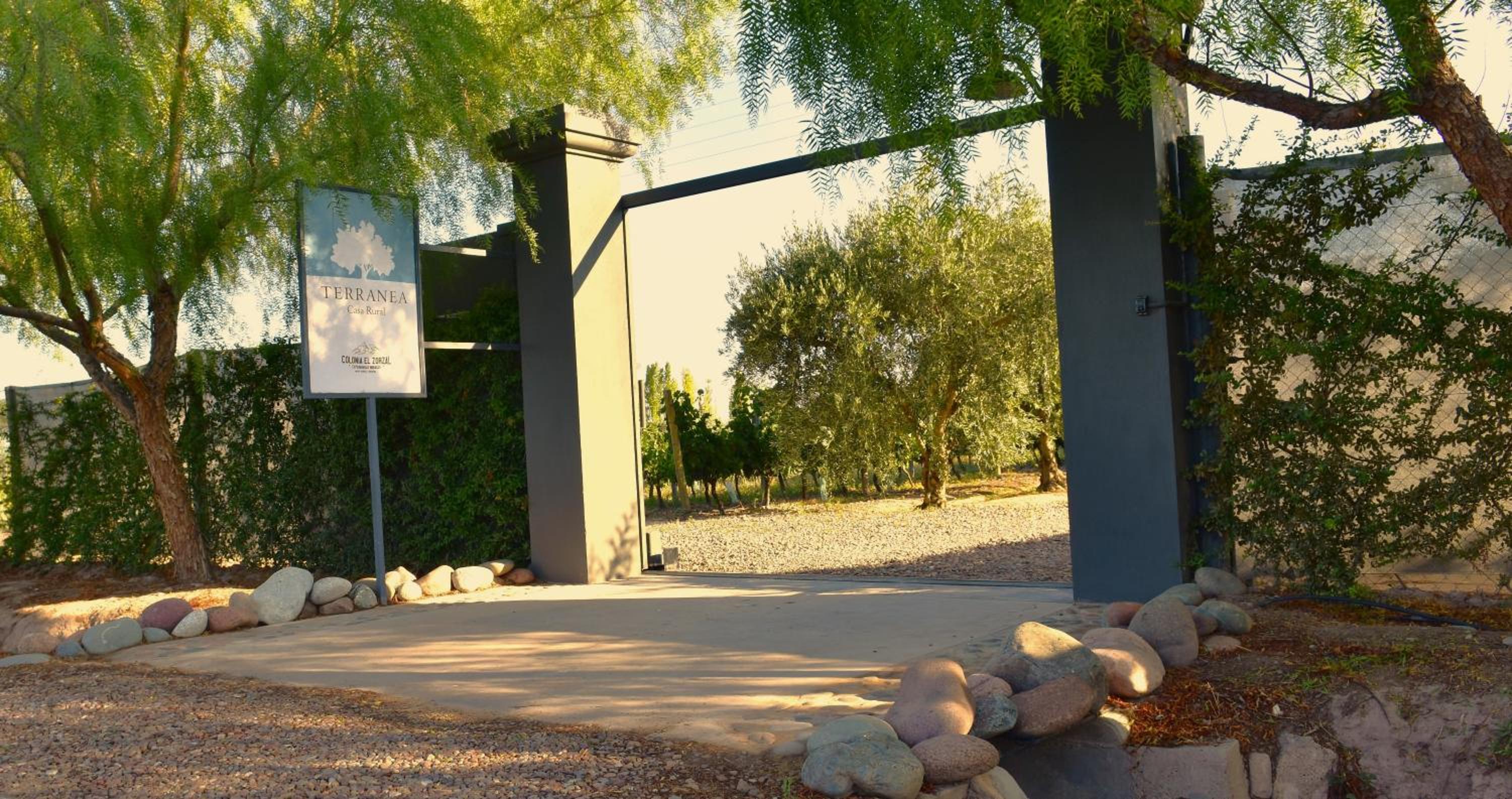 Boutique Vineyard and Wine Lodge