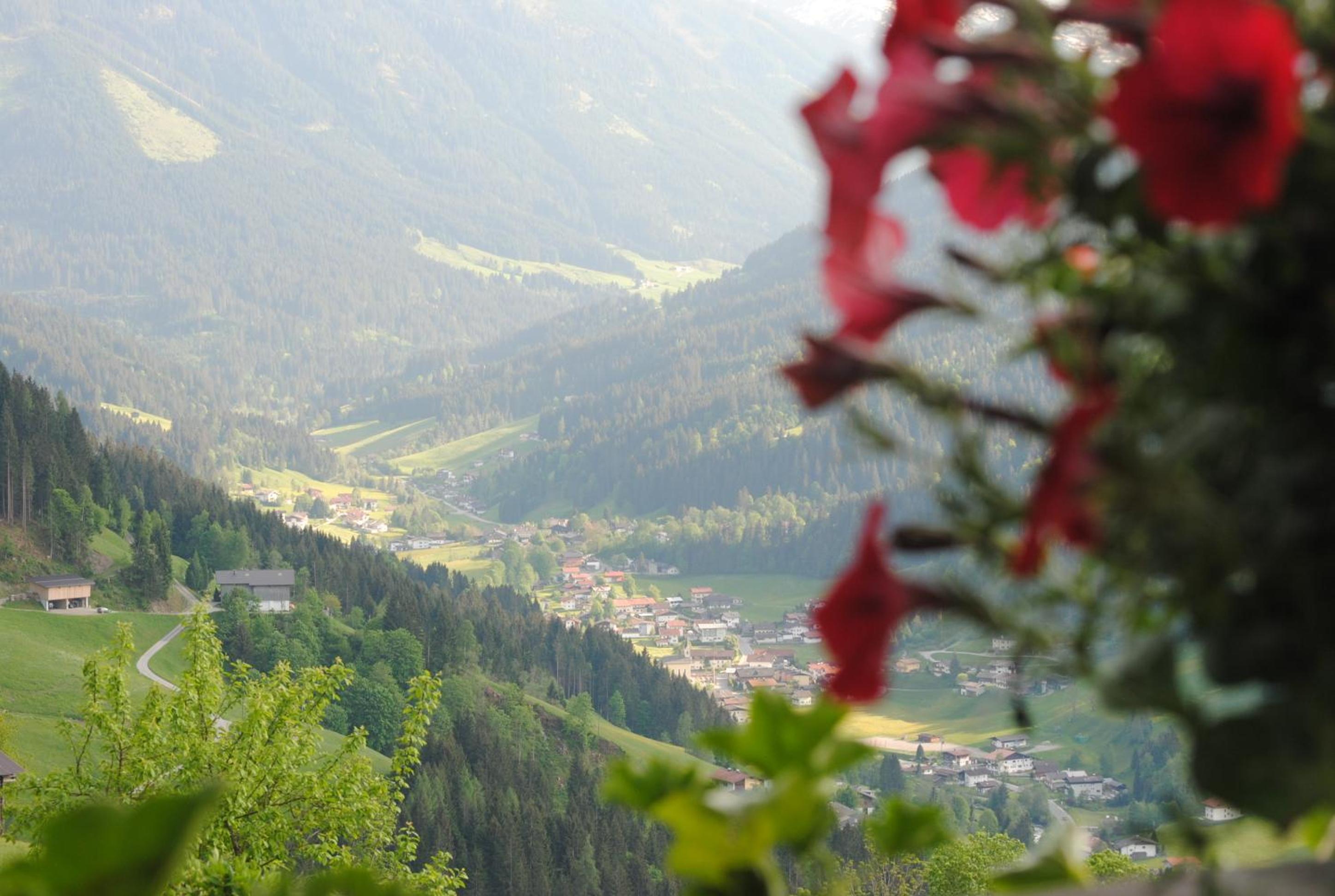 Siedlerhof