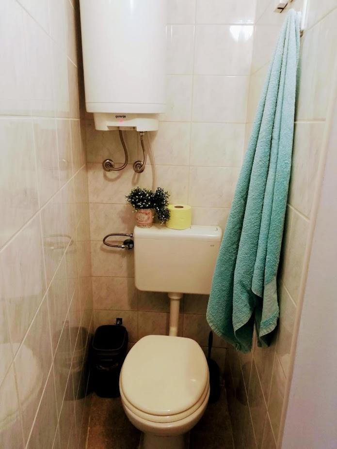 Apartma SunySun