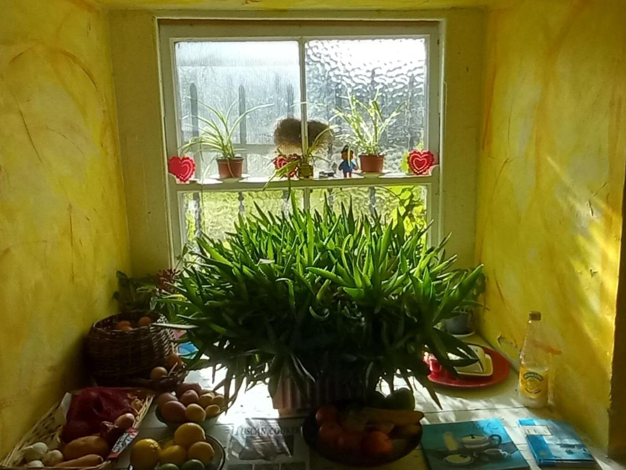 Galway Vacations - Cregg Castle - Property Image 19