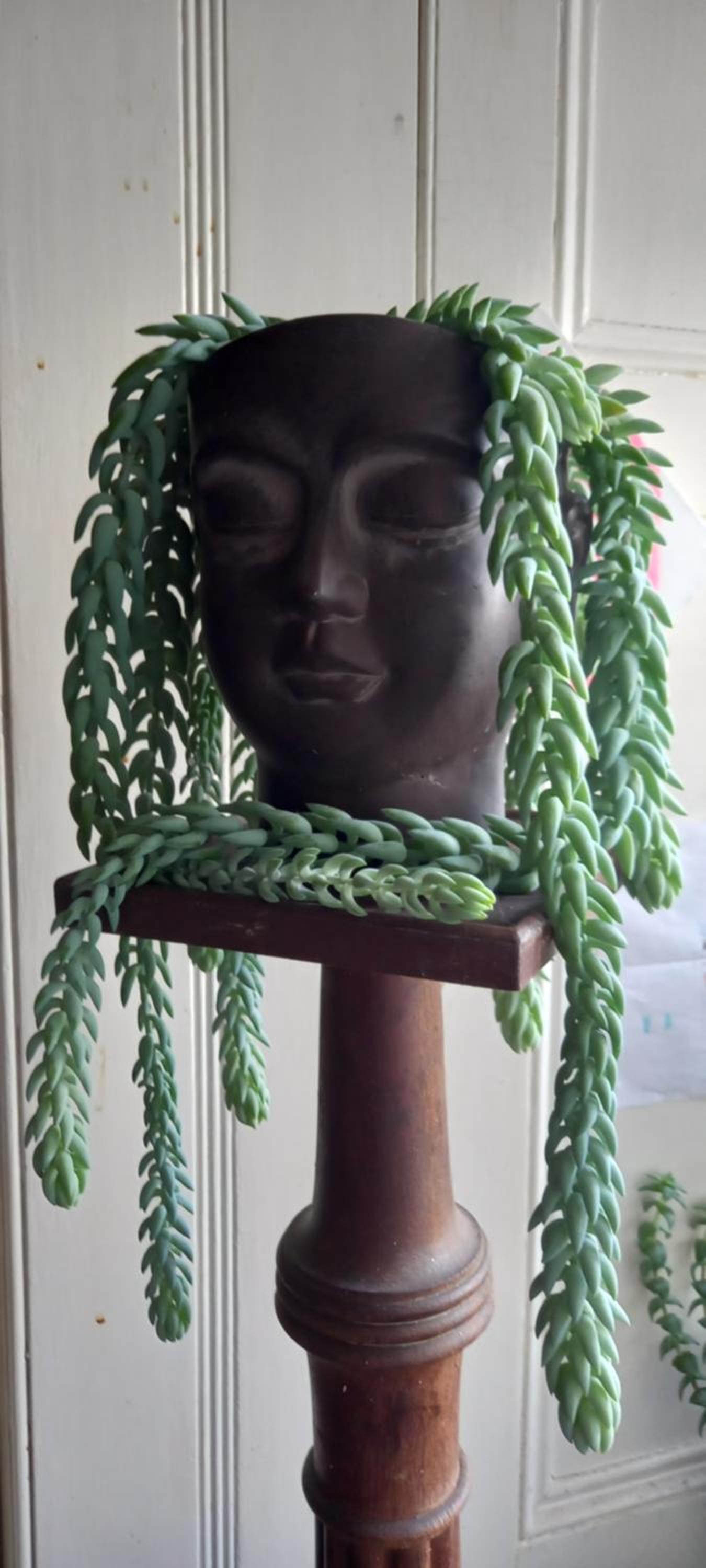 Galway Vacations - Cregg Castle - Property Image 33