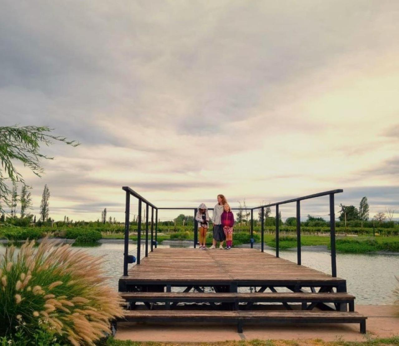 Boutique Vineyard and Wine Lodge