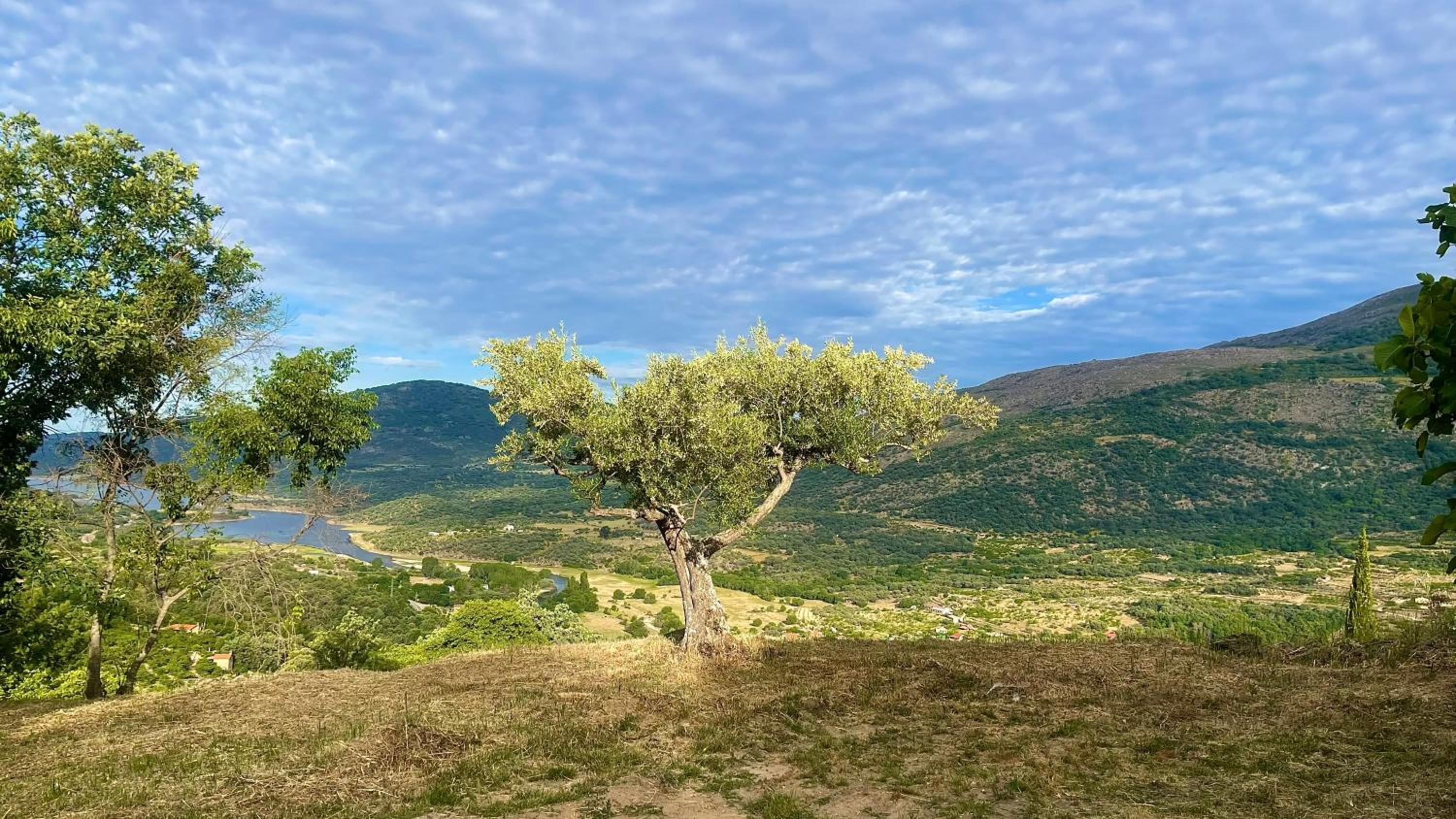 Mi Valle Rural